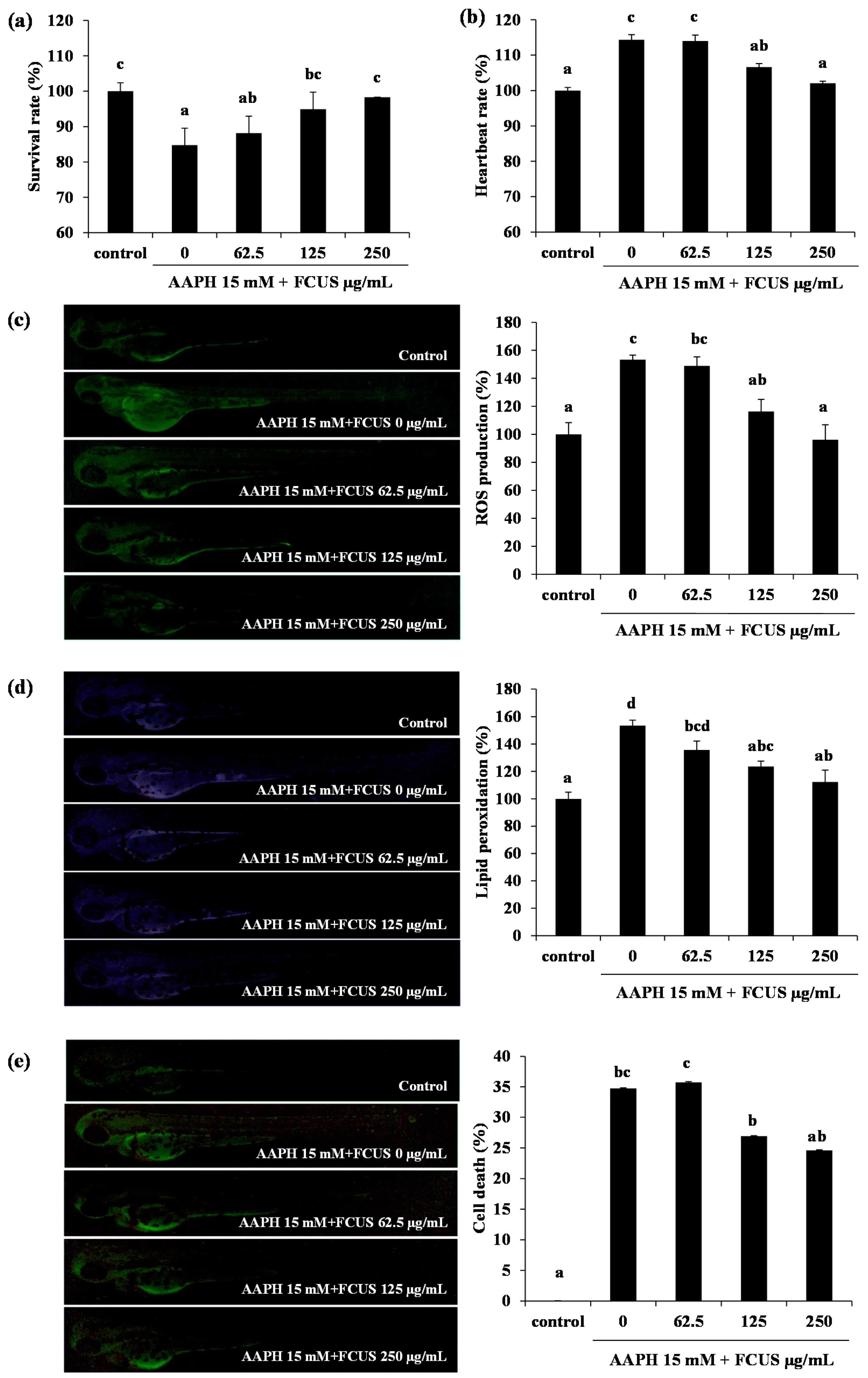 Molecules 25 02361 g003 Molecules 25 02361 g003