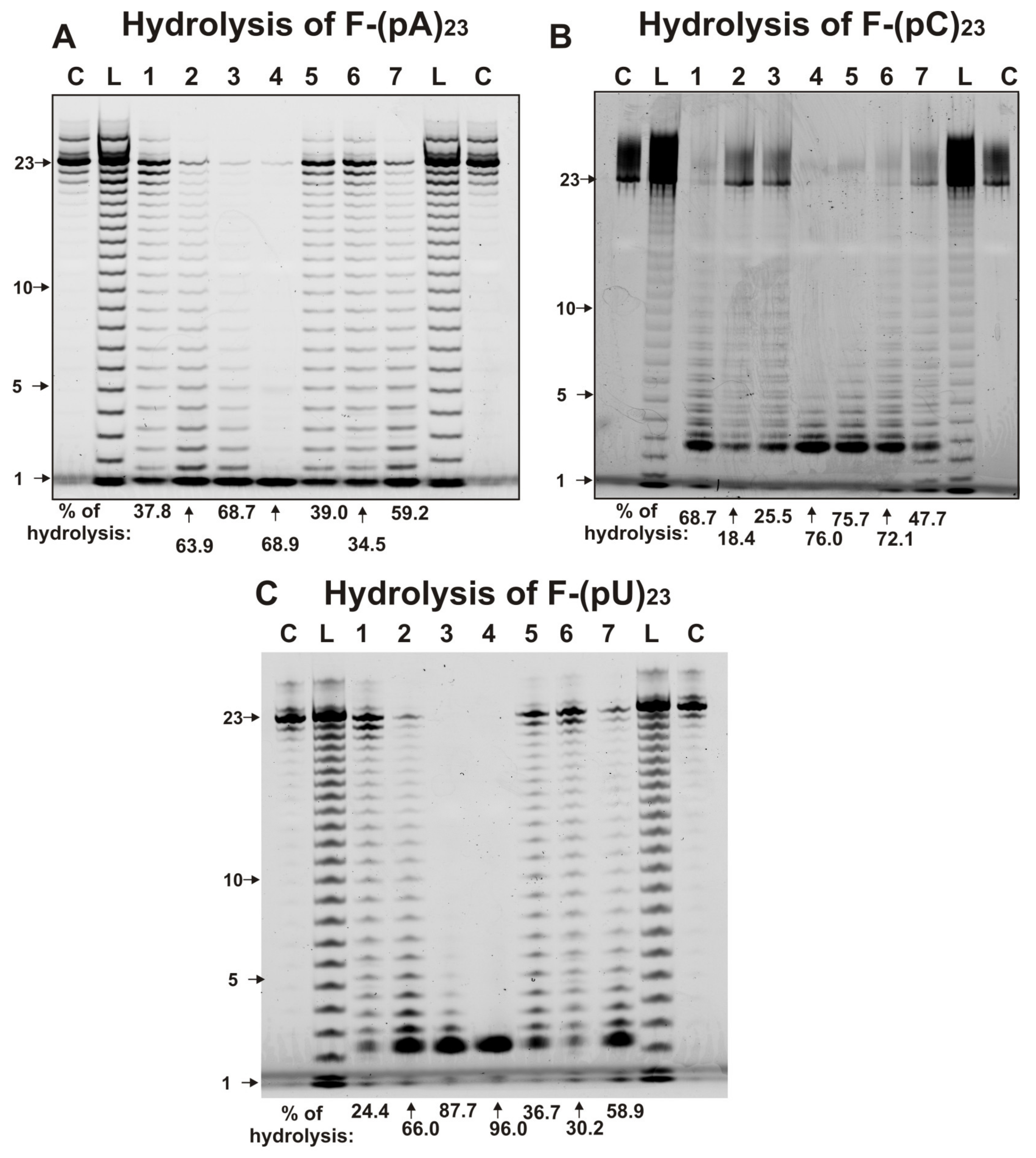 Molecules 25 02366 g002