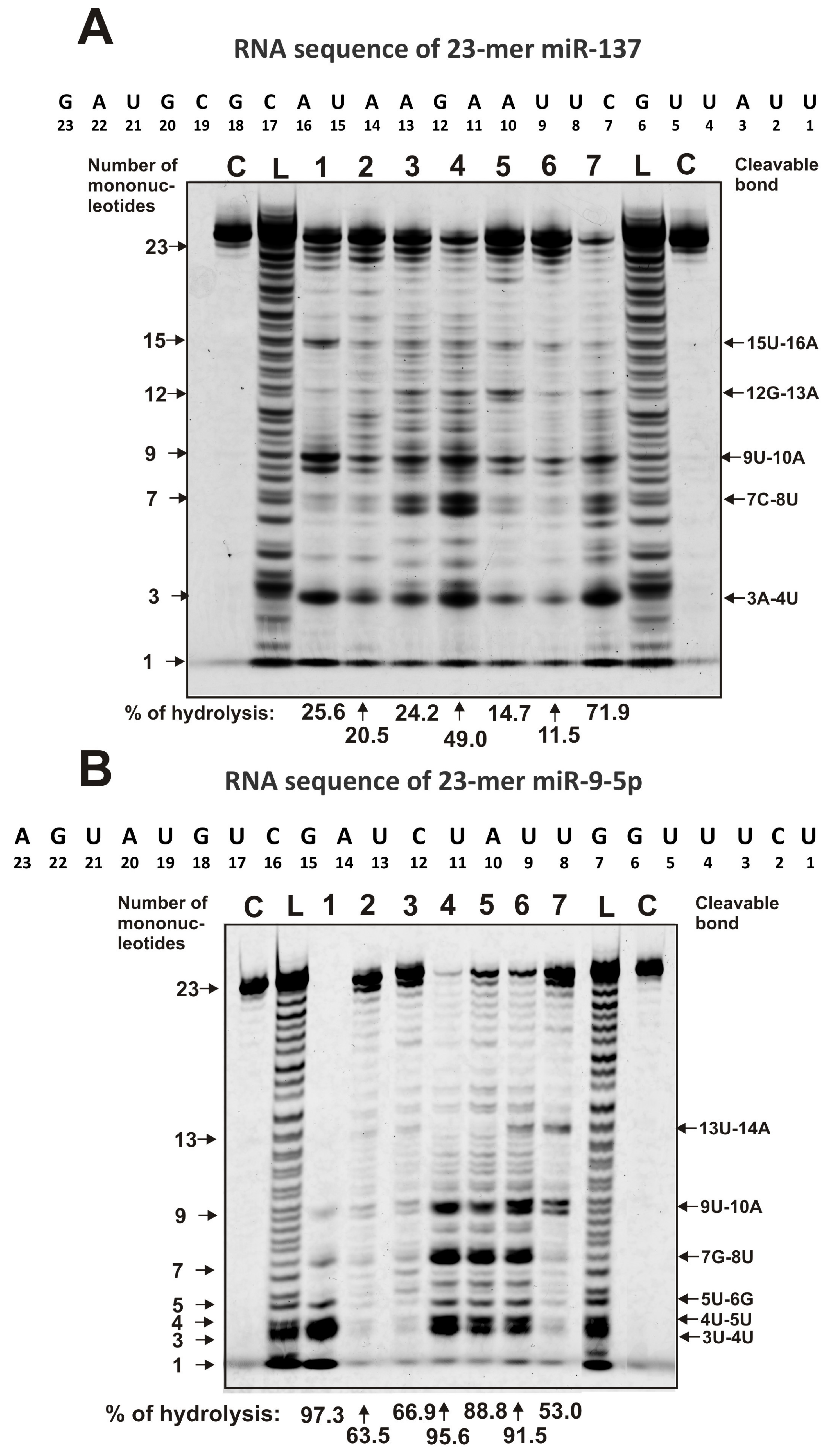 Molecules 25 02366 g004
