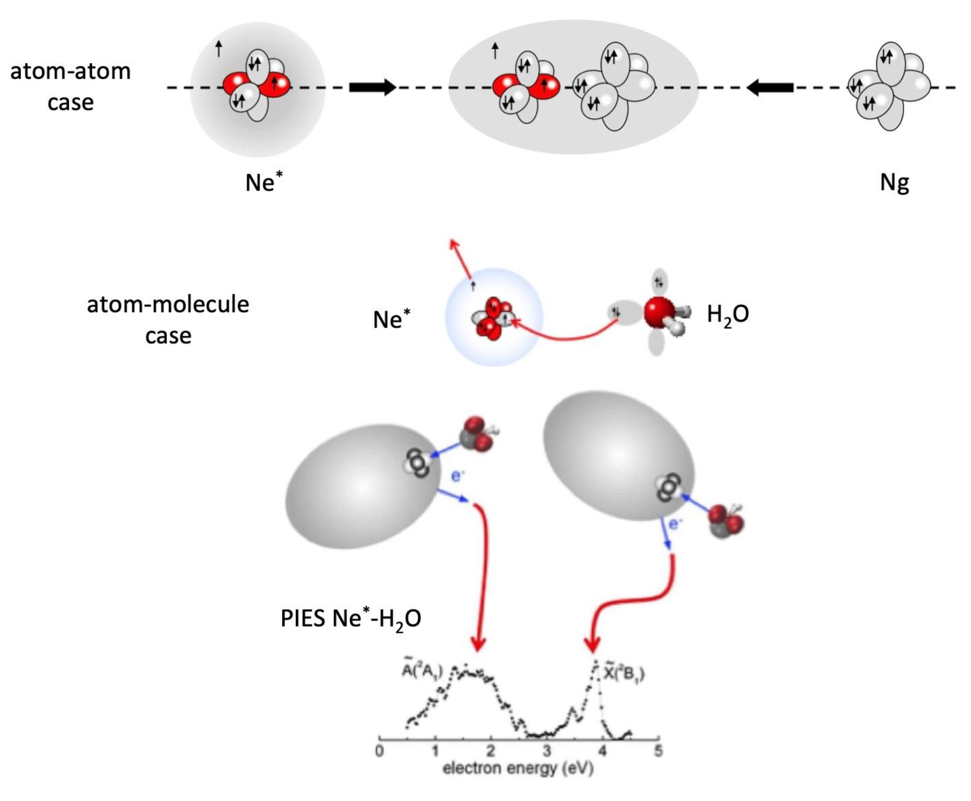Molecules 25 02367 g008