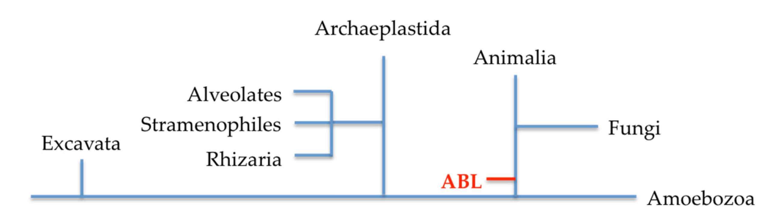 Molecules 25 02368 g003 Molecules 25 02368 g003