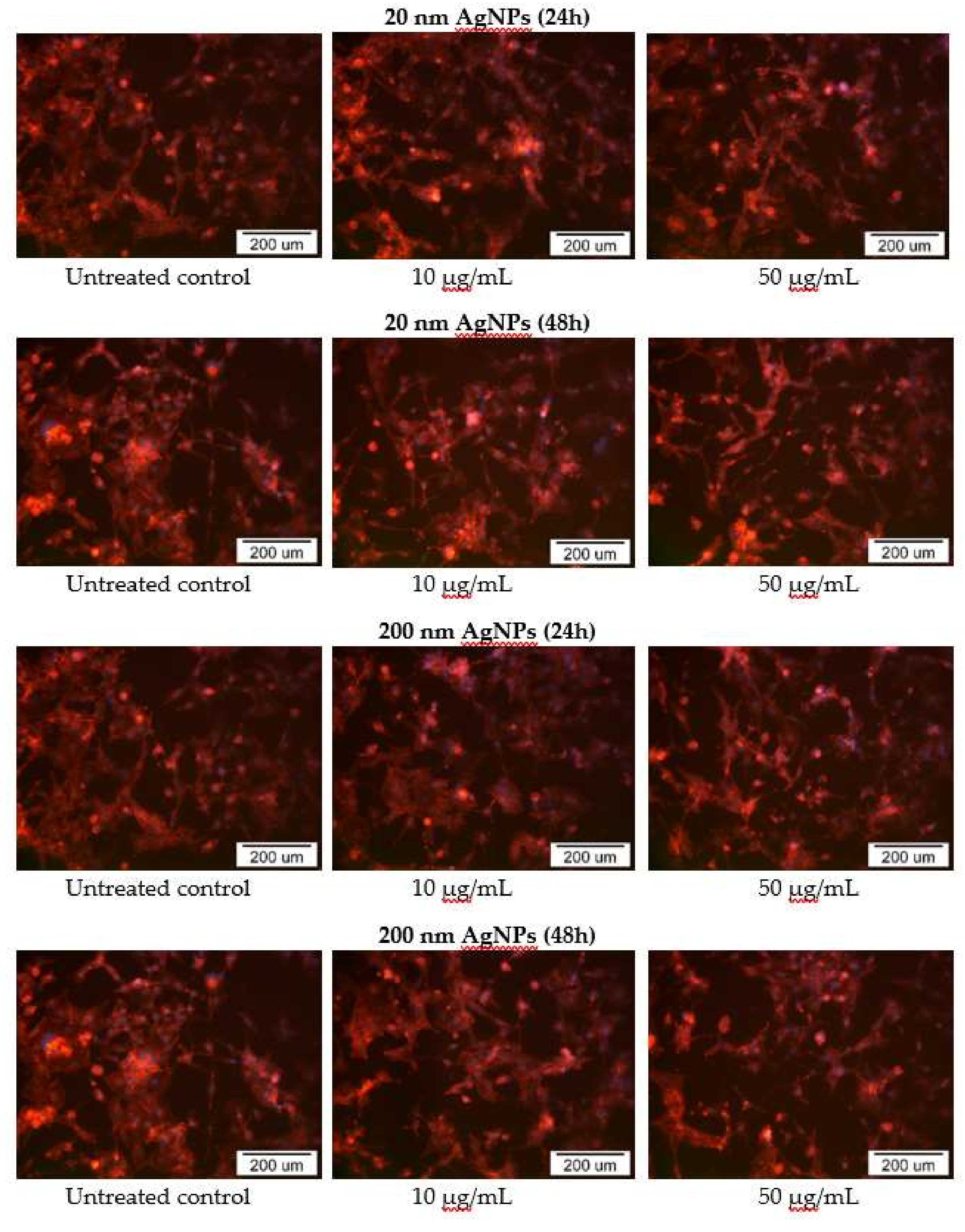 Molecules 25 02375 g006 Molecules 25 02375 g006