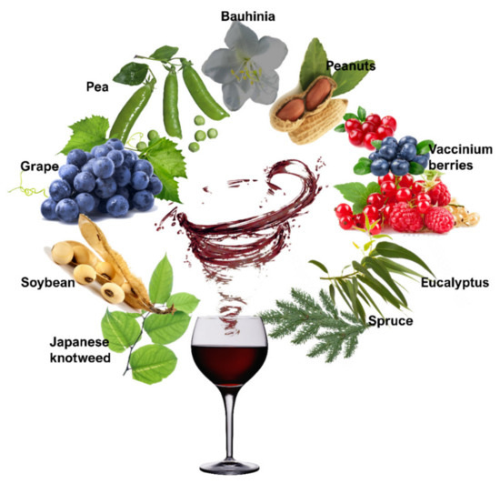 Molecules Free Full Text Resveratrol A Fair Race Towards Replacing Sulfites In Wines Html