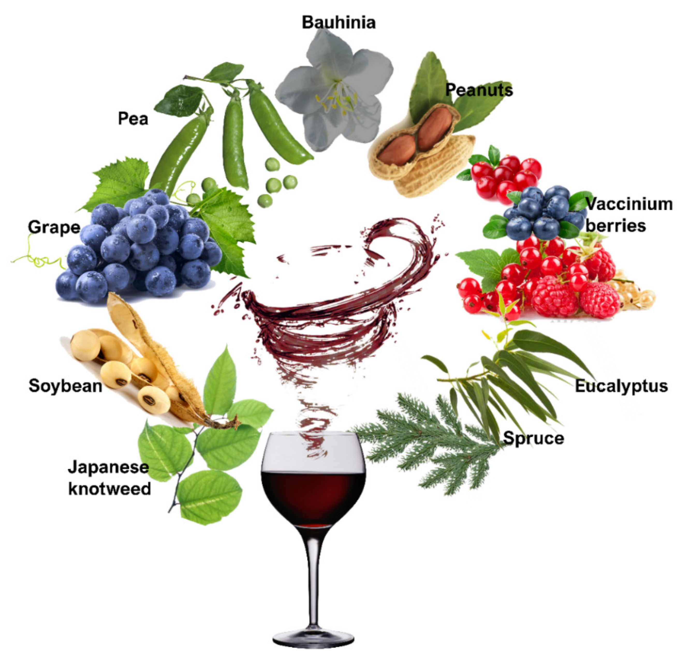 Molecules Free Full-Text | Resveratrol: A Fair Race Replacing Sulfites in Wines