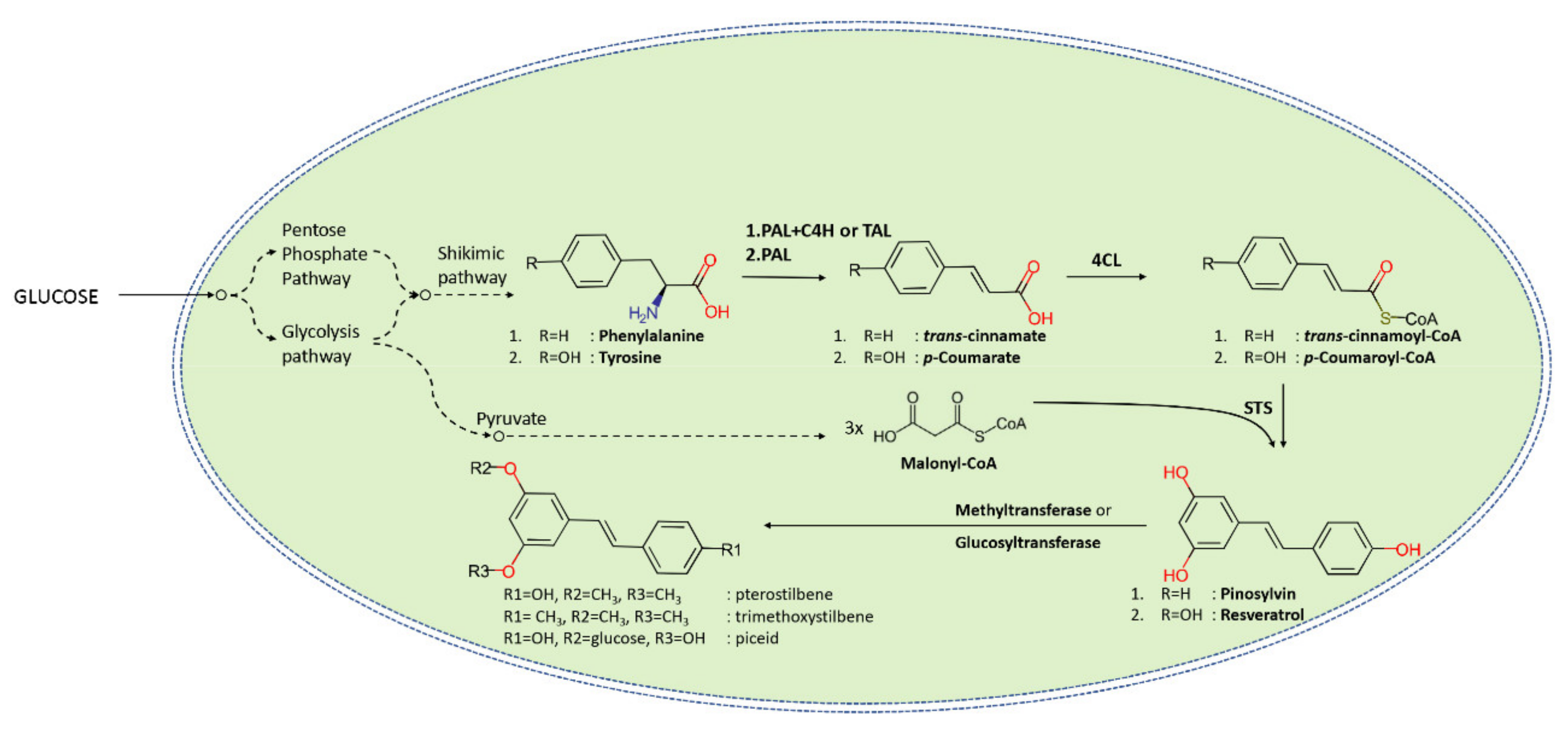 Molecules 25 02378 g002 Molecules 25 02378 g002