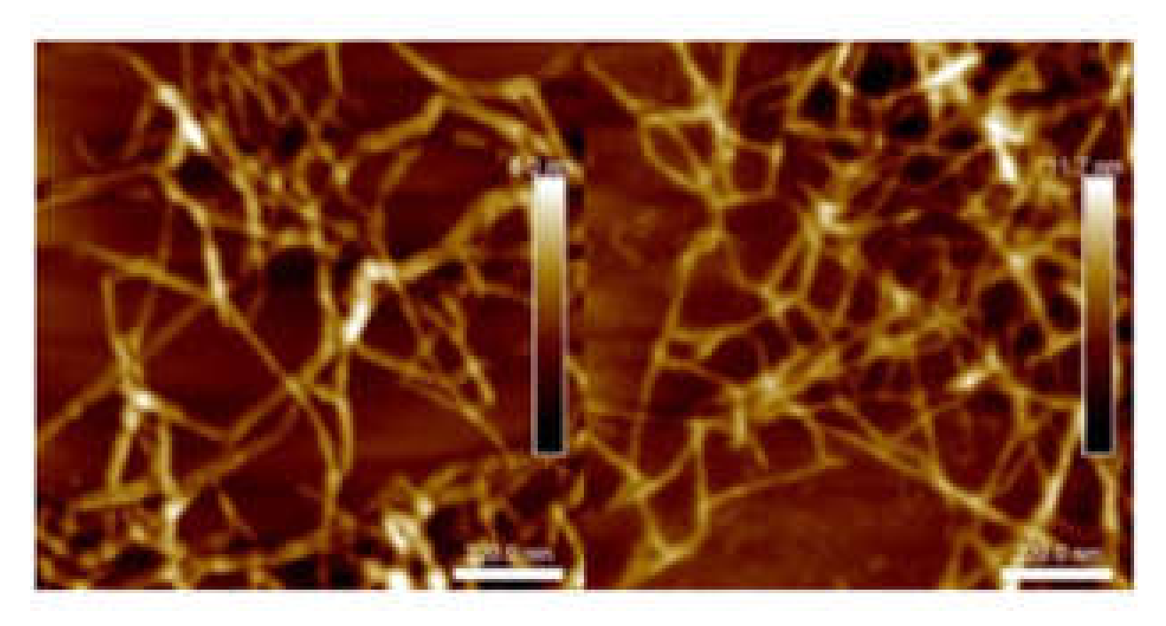 Molecules 25 02381 g001 Molecules 25 02381 g001