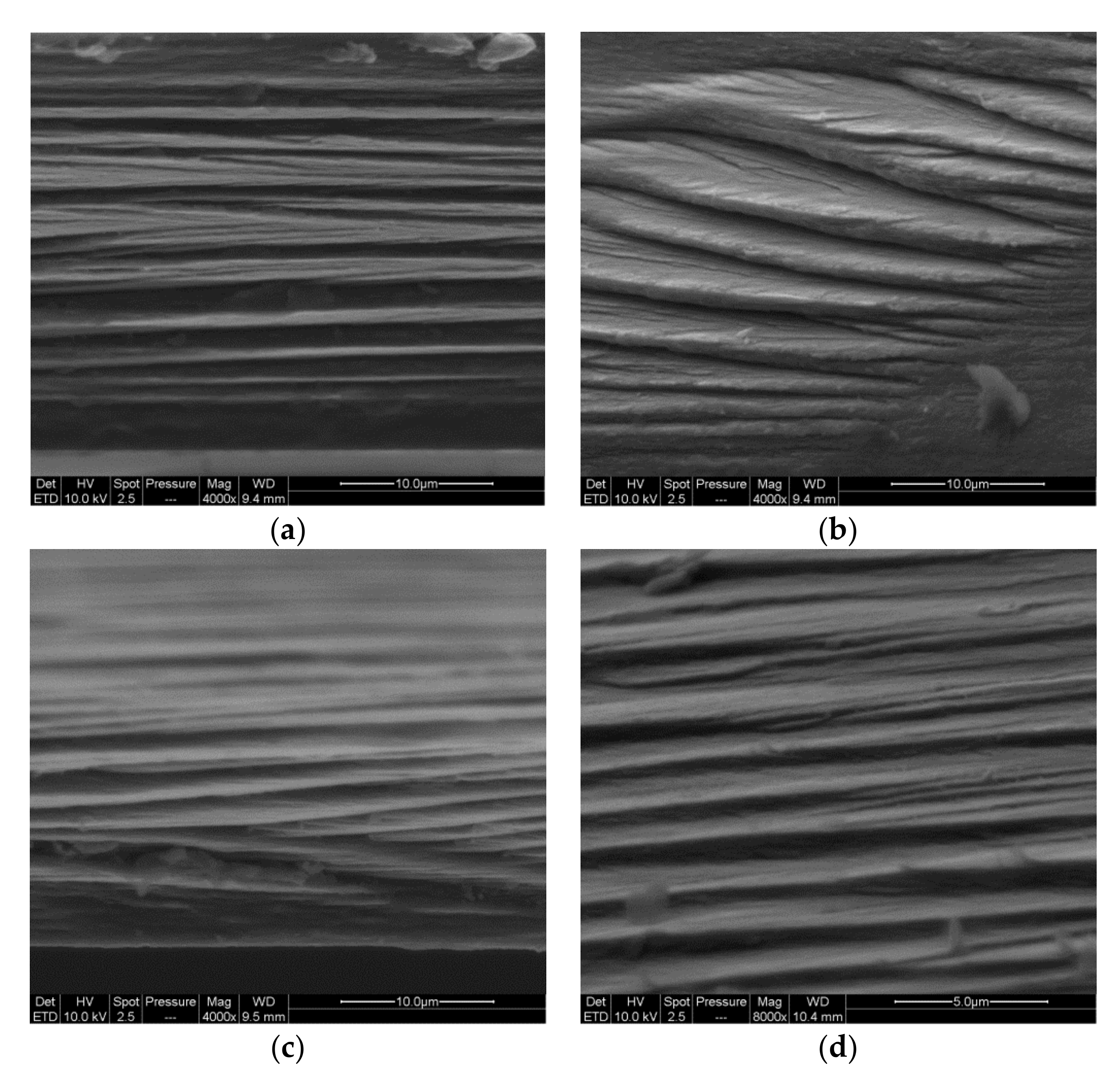 Molecules 25 02381 g003 Molecules 25 02381 g003