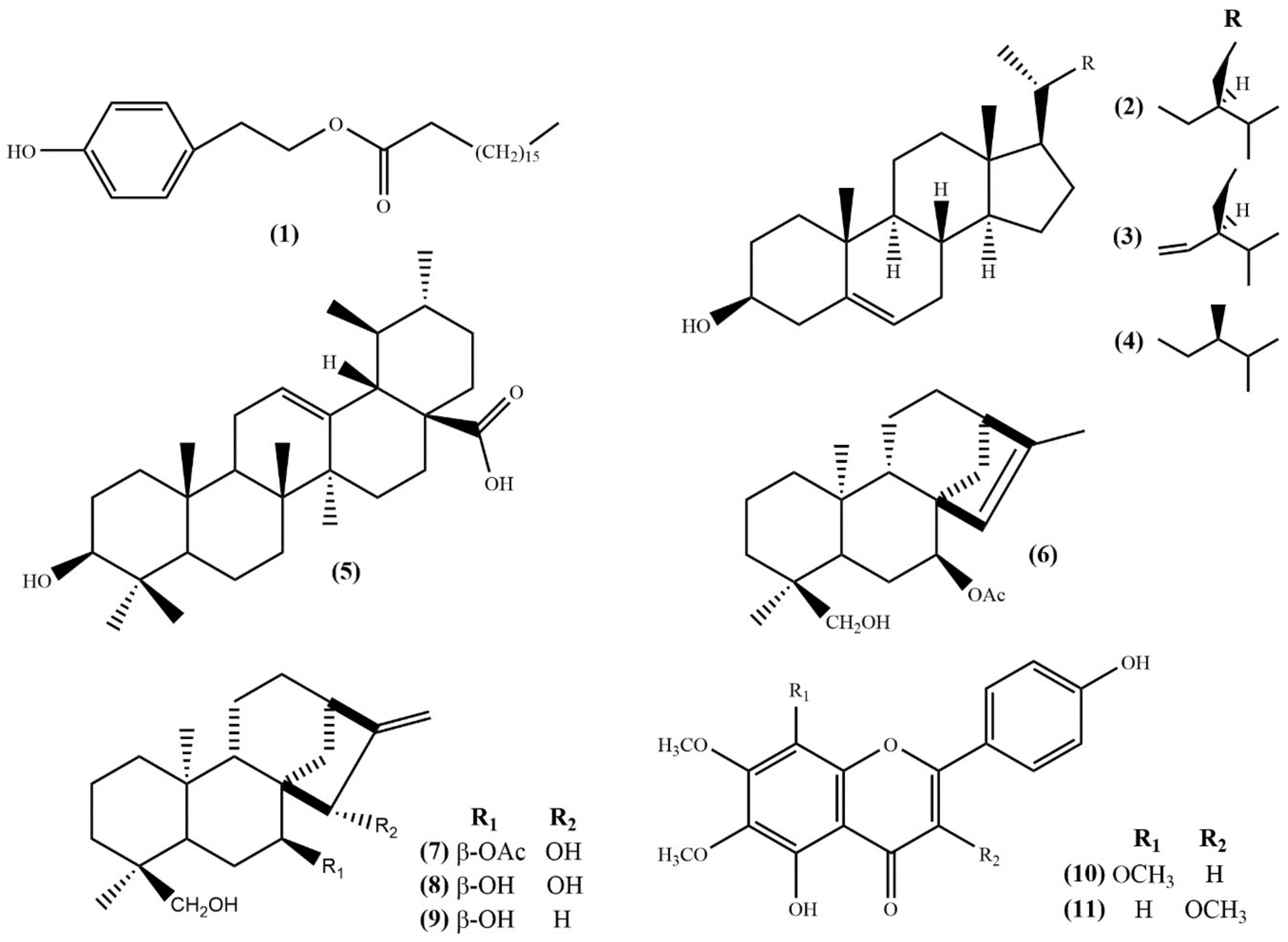 Molecules 25 02382 g002 Molecules 25 02382 g002