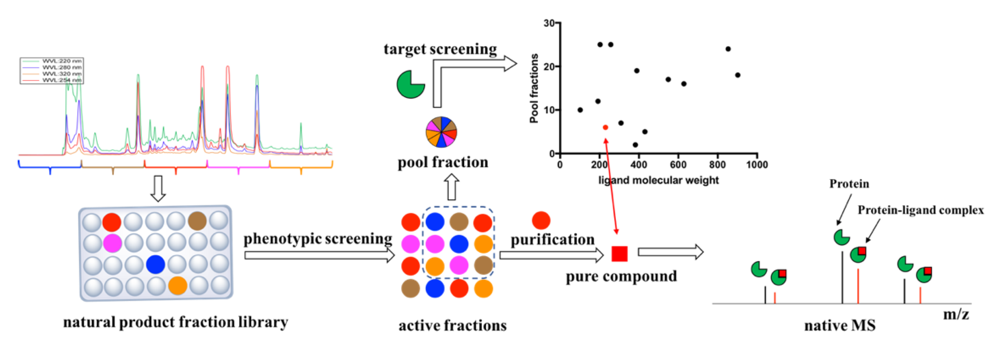 Molecules 25 02384 g001
