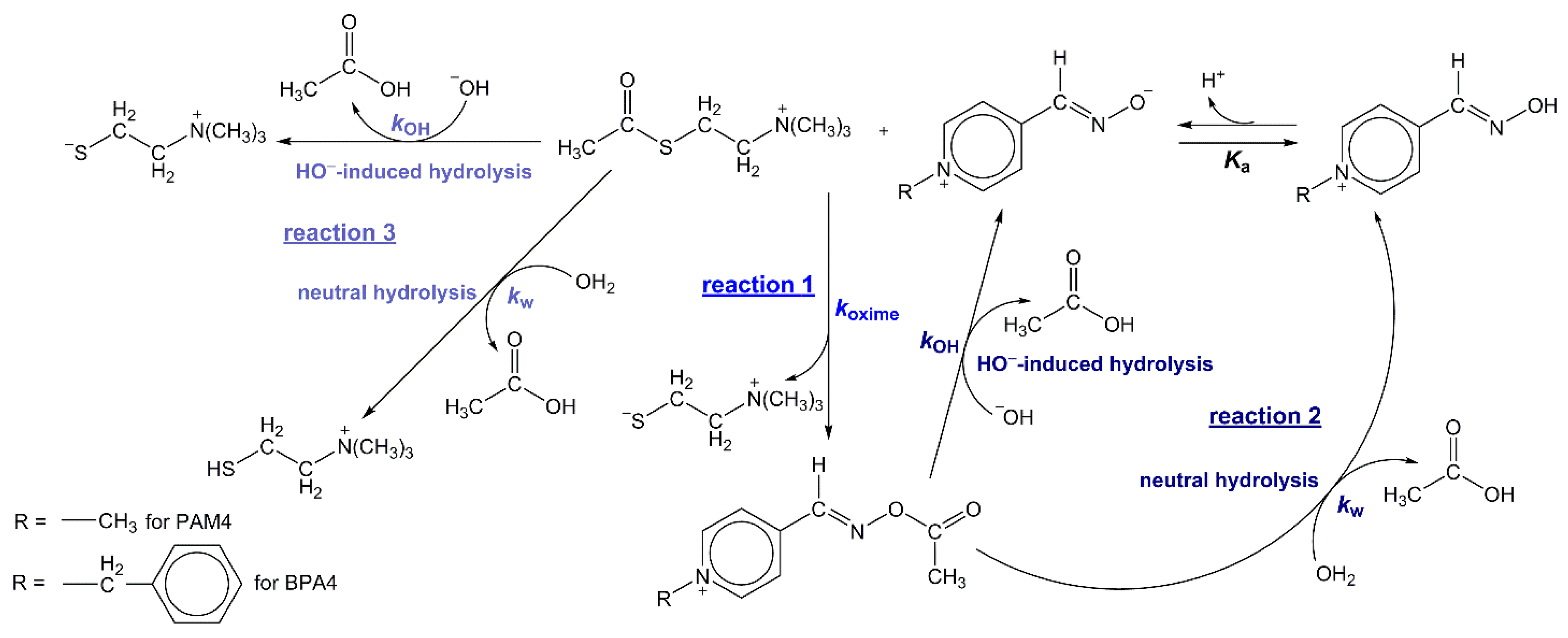 Molecules 25 02385 sch001