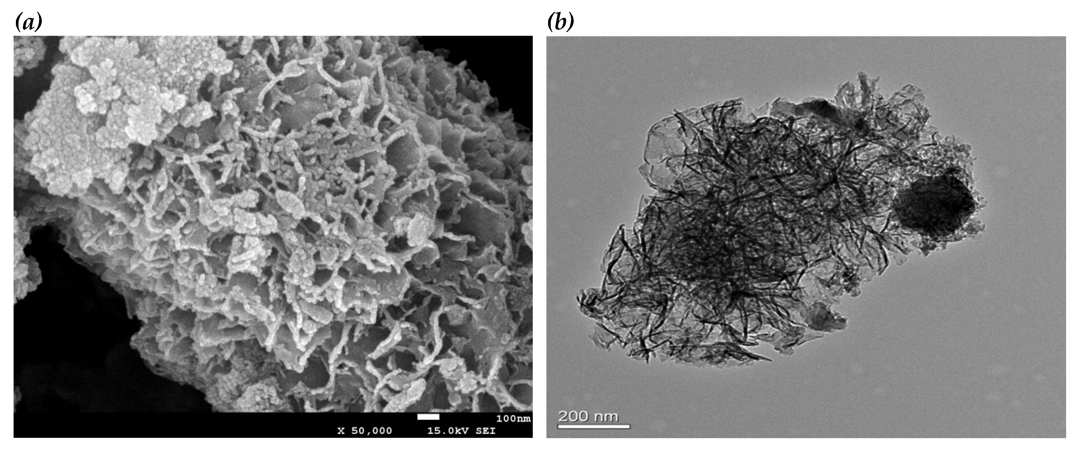 Molecules 25 02389 g001 Molecules 25 02389 g001