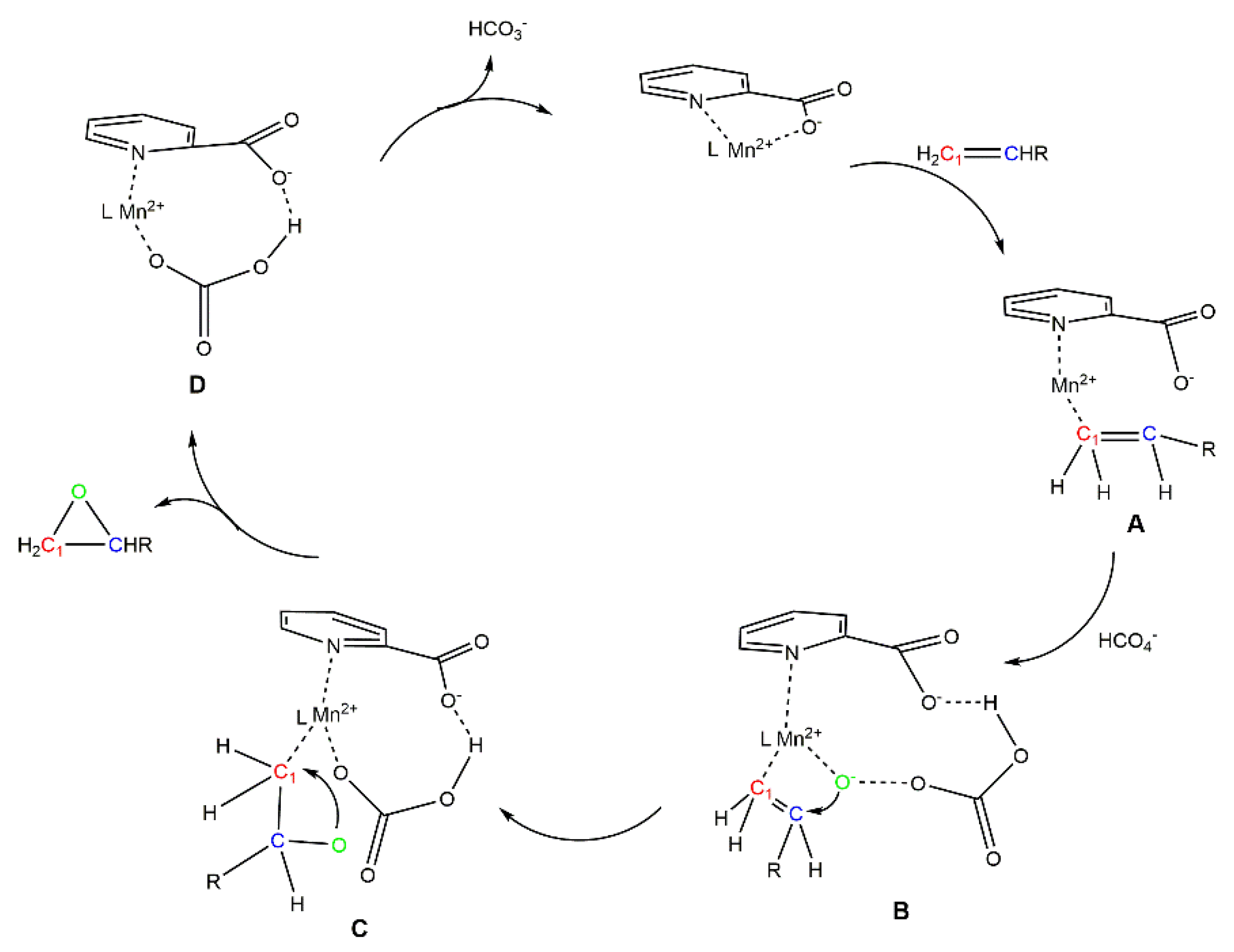 Molecules 25 02389 sch001 Molecules 25 02389 sch001