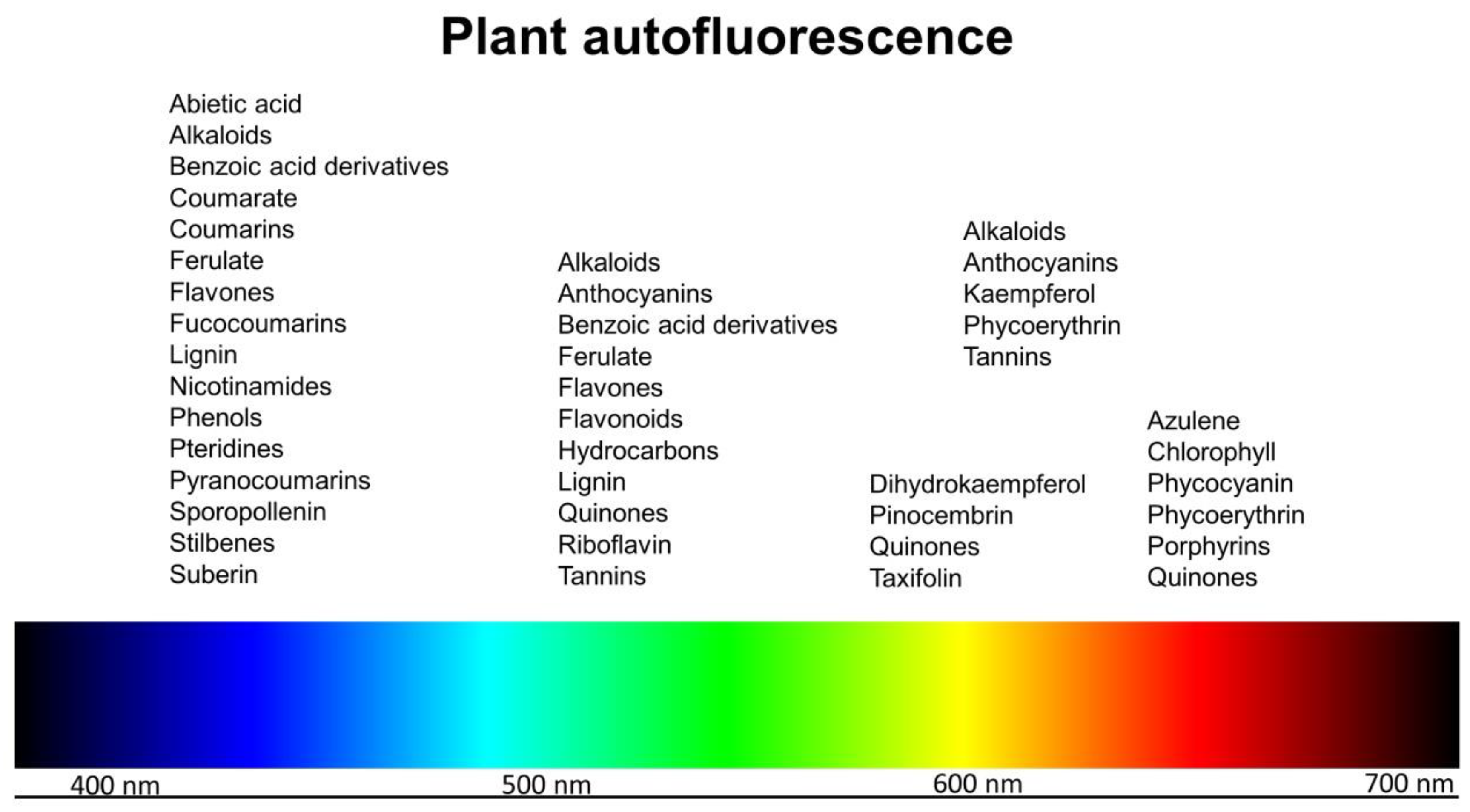 Molecules 25 02393 g001