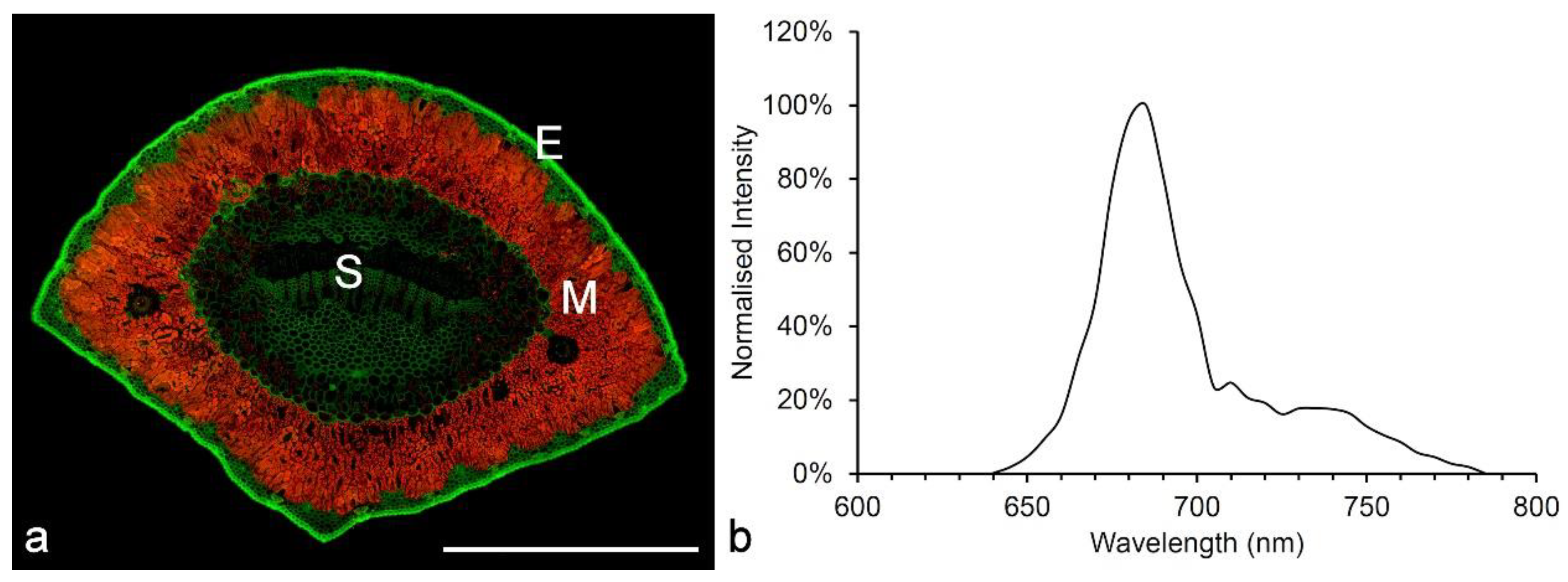 Molecules 25 02393 g002