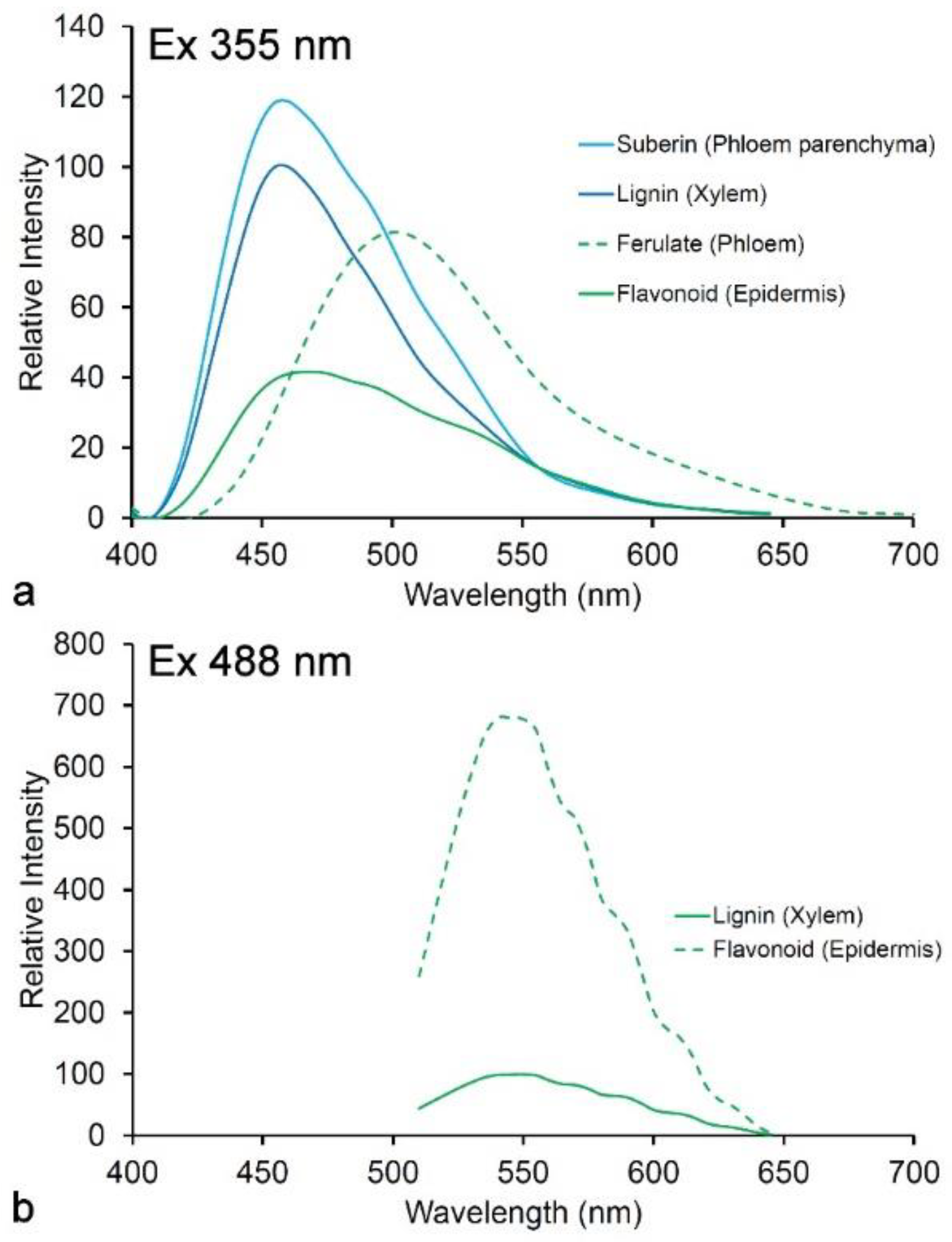 Molecules 25 02393 g006