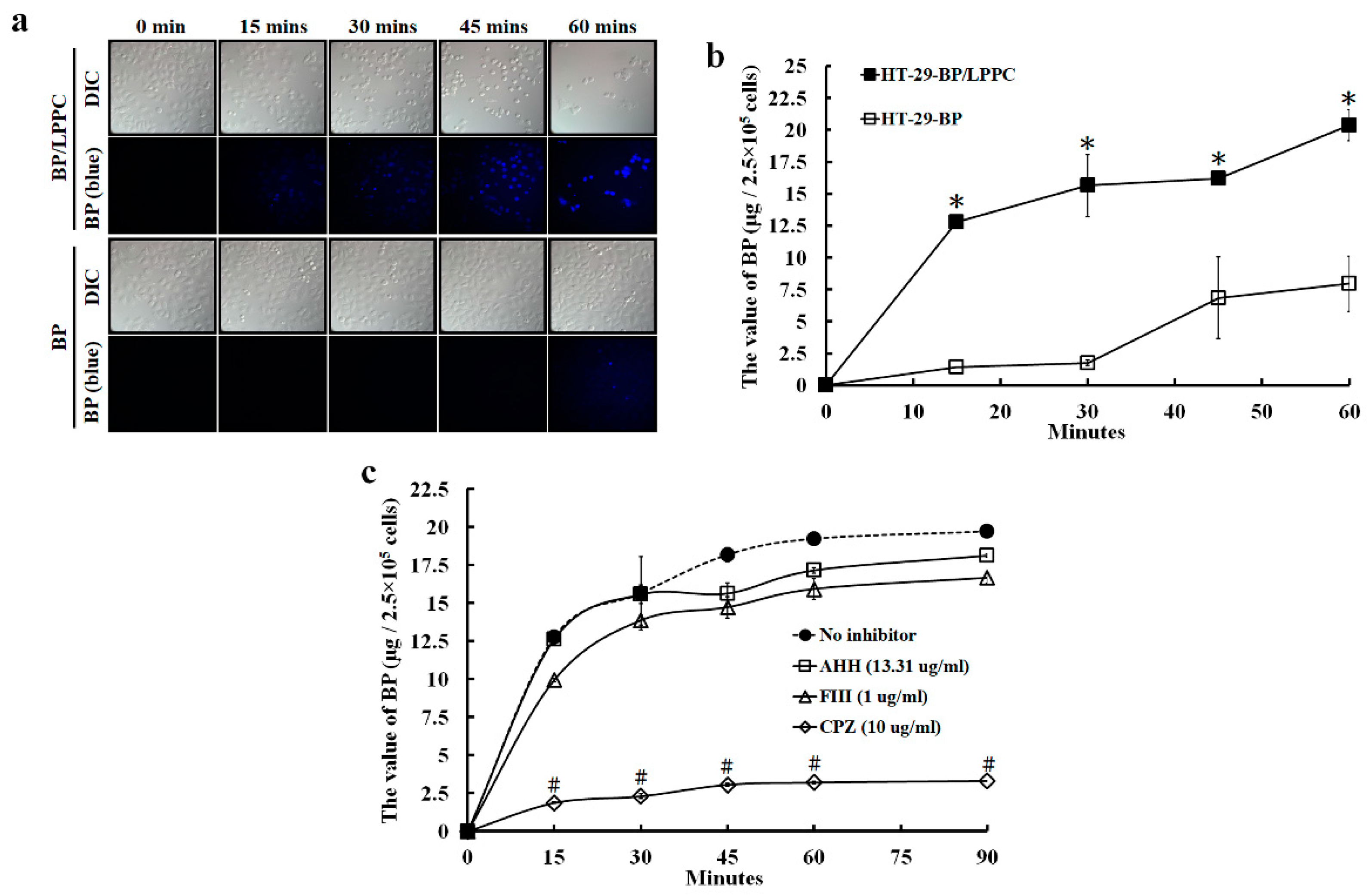 Molecules 25 02394 g002