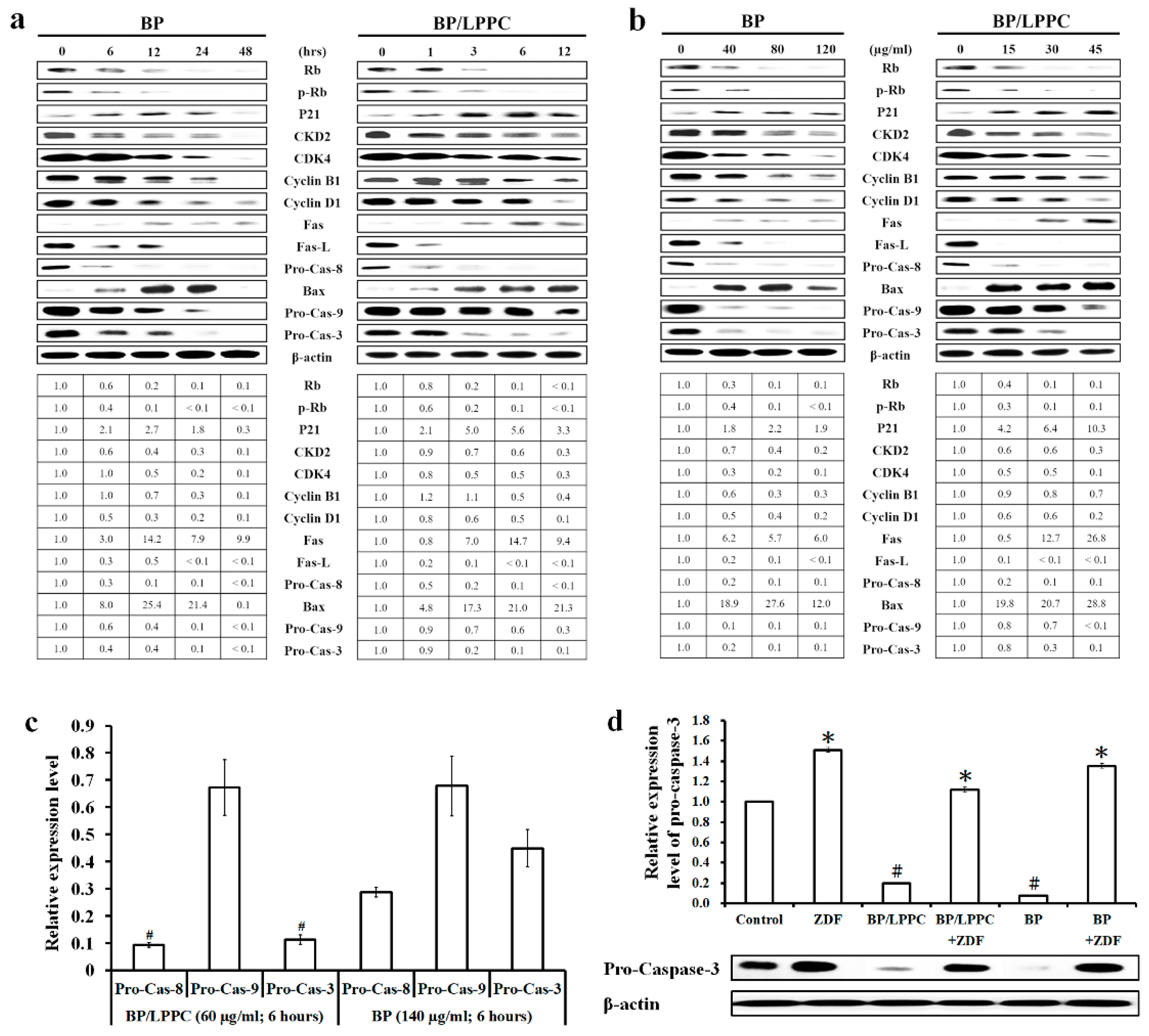 Molecules 25 02394 g004