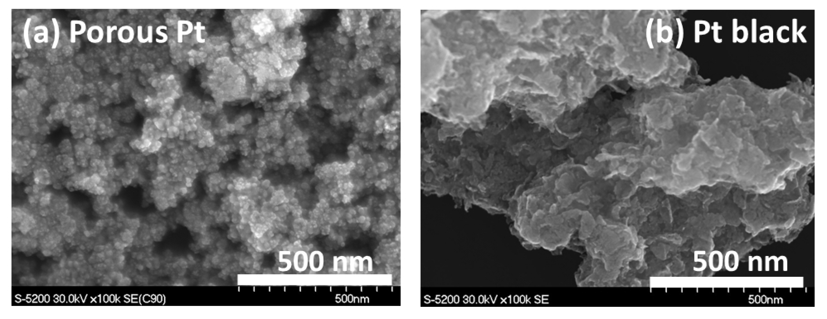 Molecules 25 02398 g002