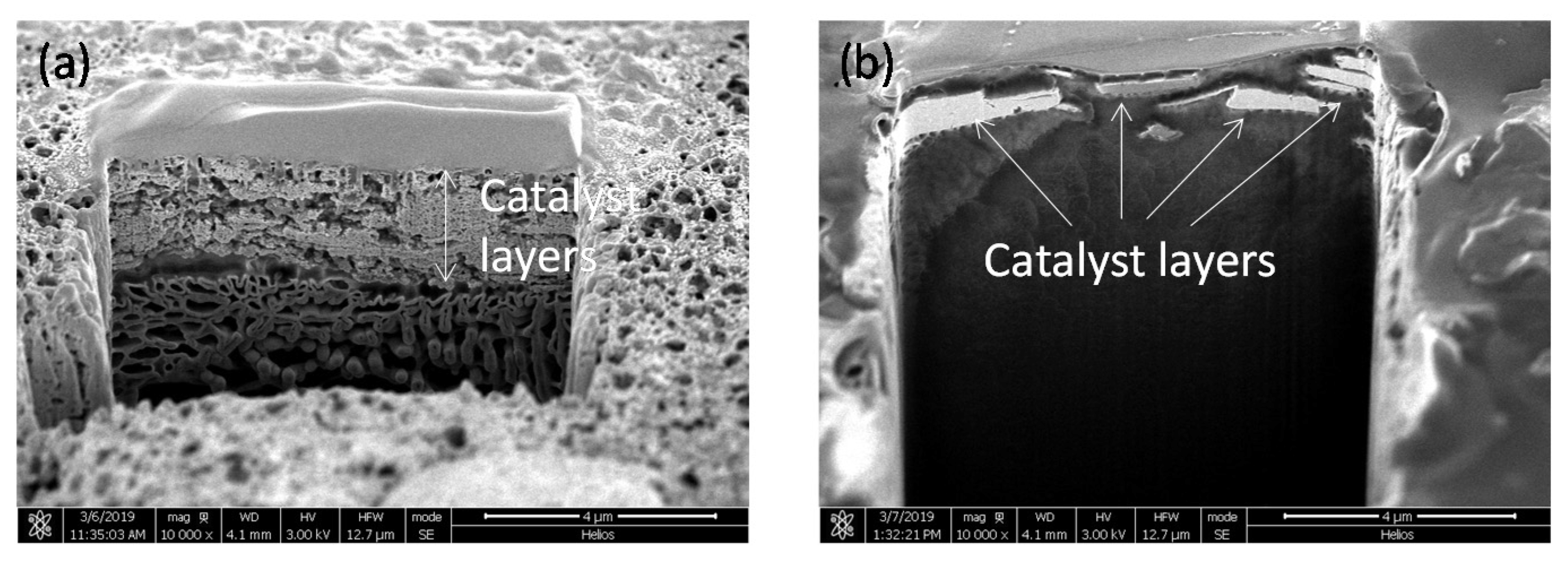Molecules 25 02398 g006