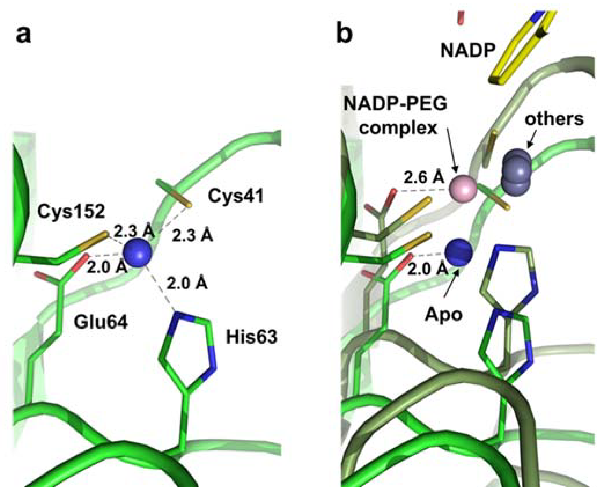 Molecules 25 02404 g003 Molecules 25 02404 g003