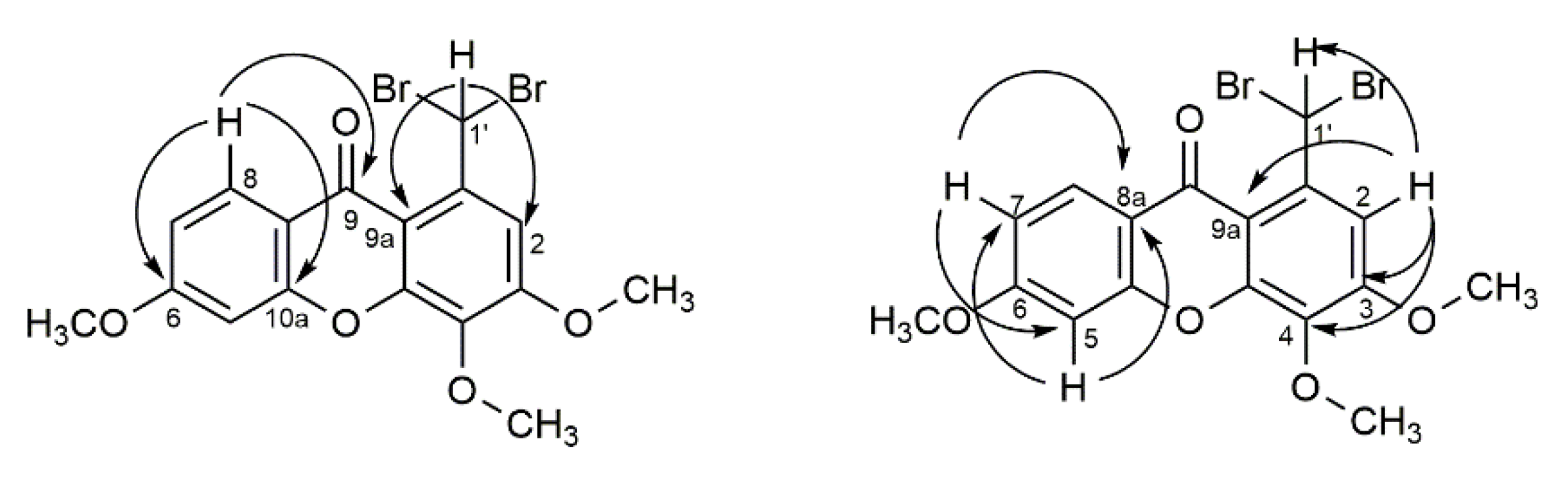 Molecules 25 02405 g002 Molecules 25 02405 g002