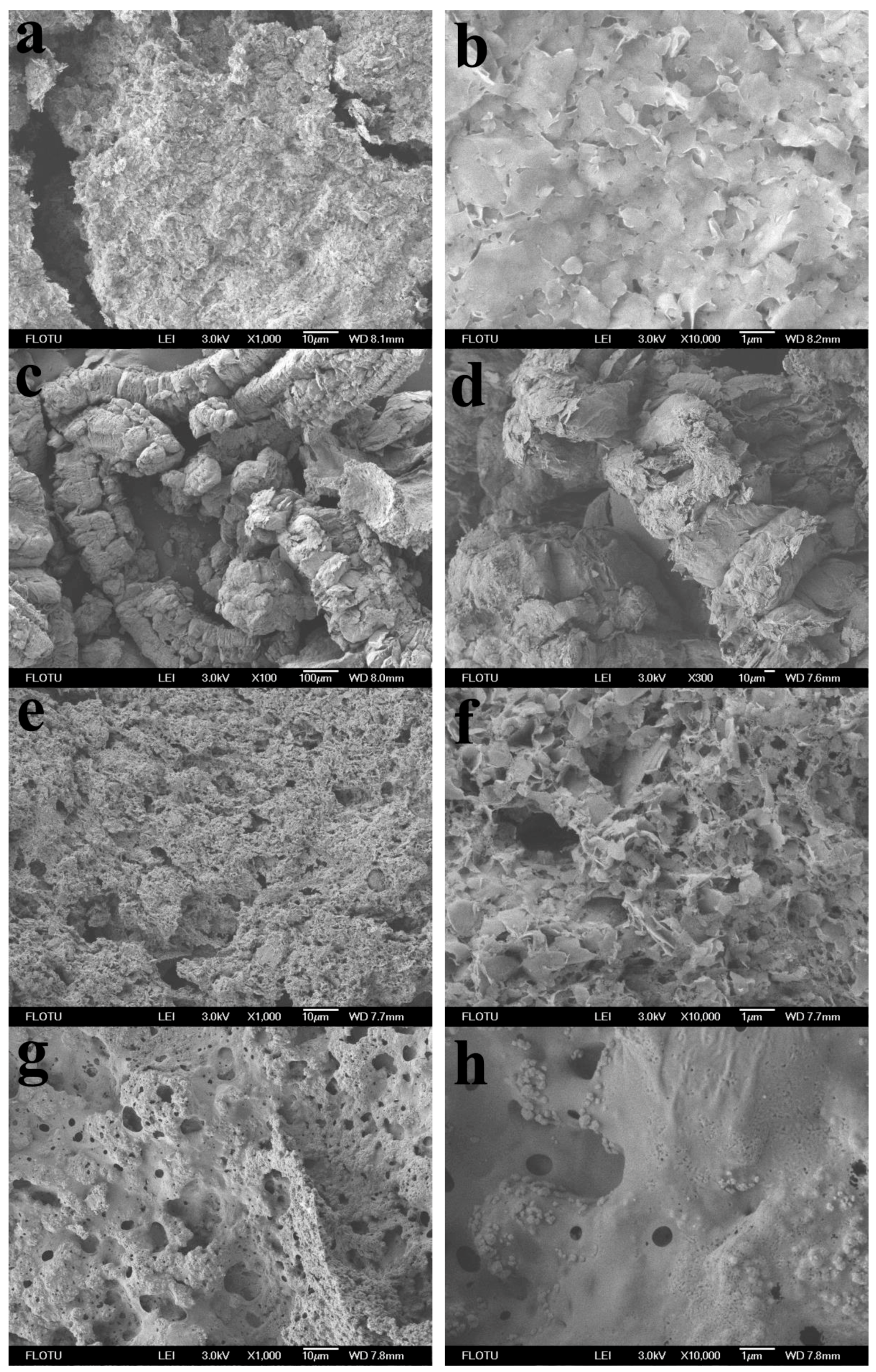 Molecules 25 02408 g007