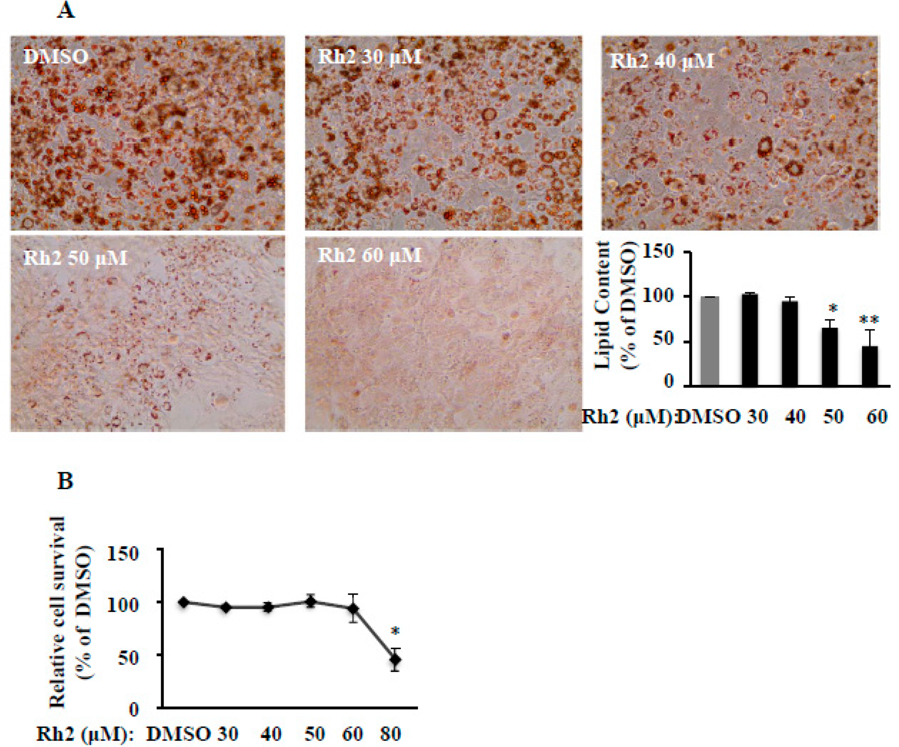 Molecules 25 02412 g001 Molecules 25 02412 g001