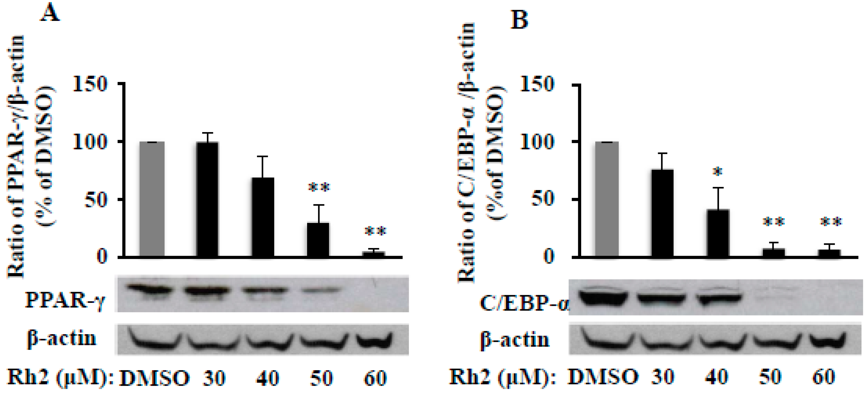 Molecules 25 02412 g002 Molecules 25 02412 g002