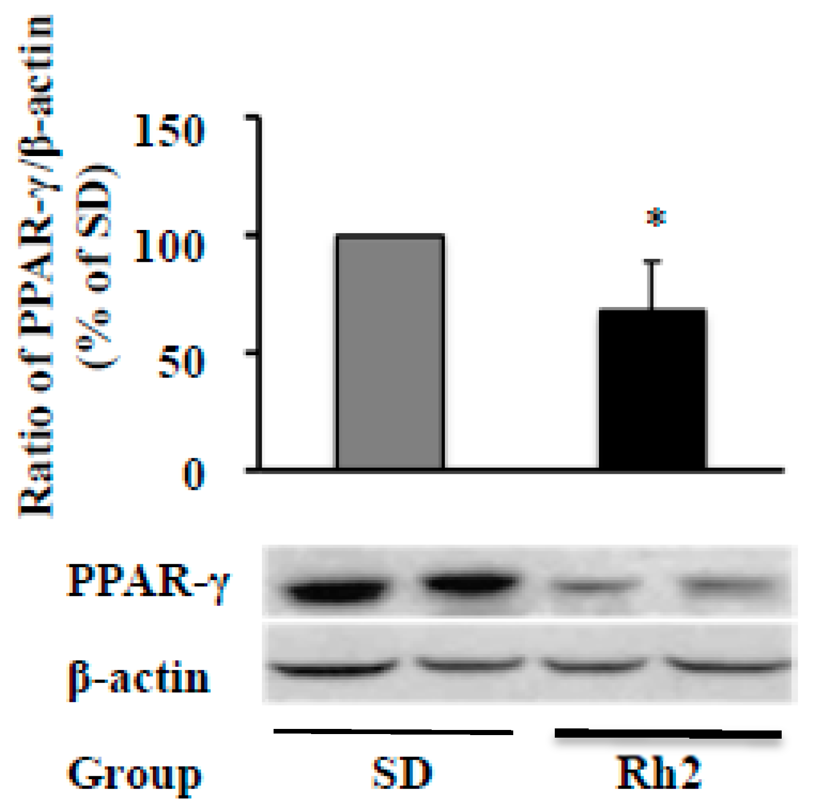 Molecules 25 02412 g006 Molecules 25 02412 g006