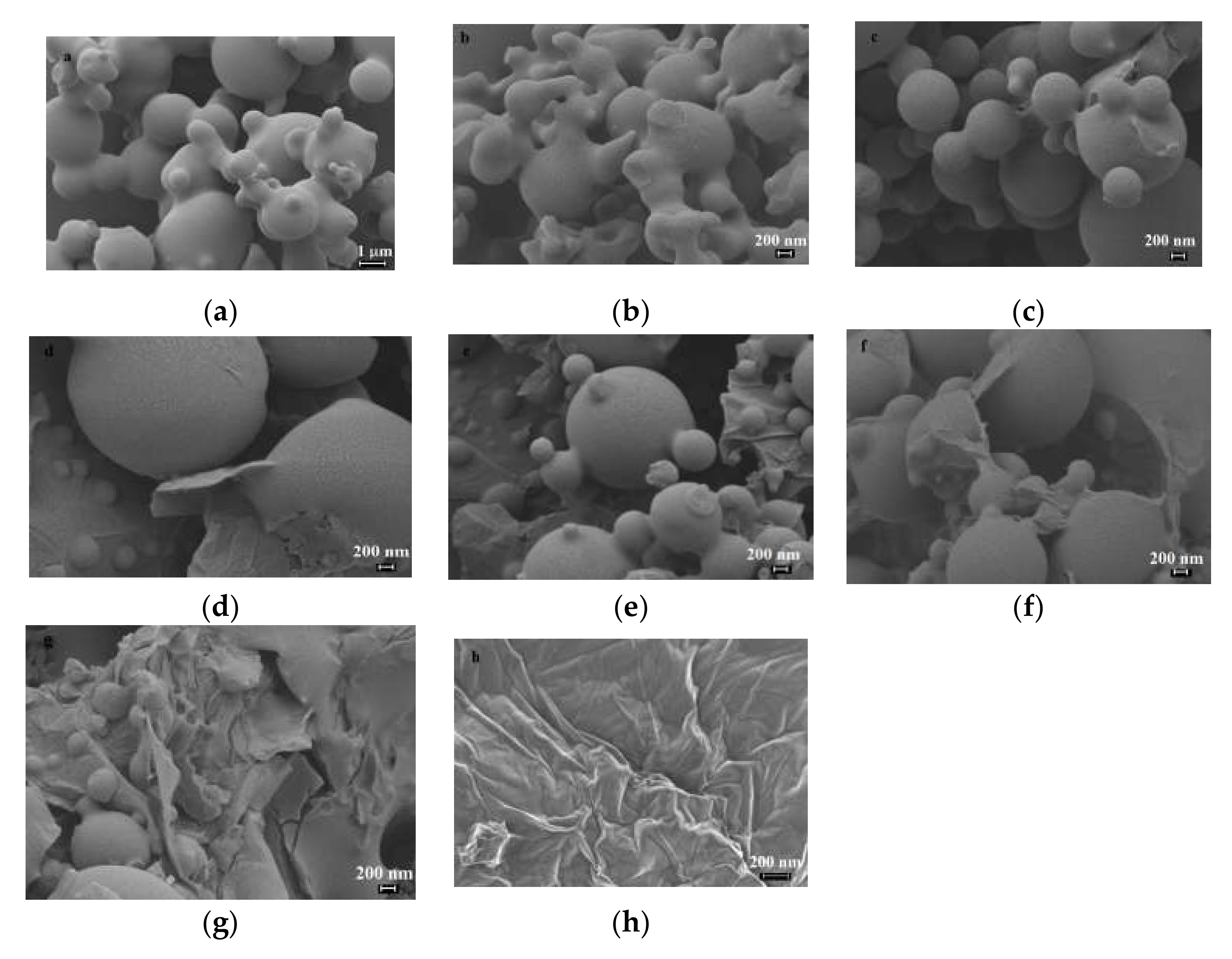 Molecules 25 02419 g001 Molecules 25 02419 g001