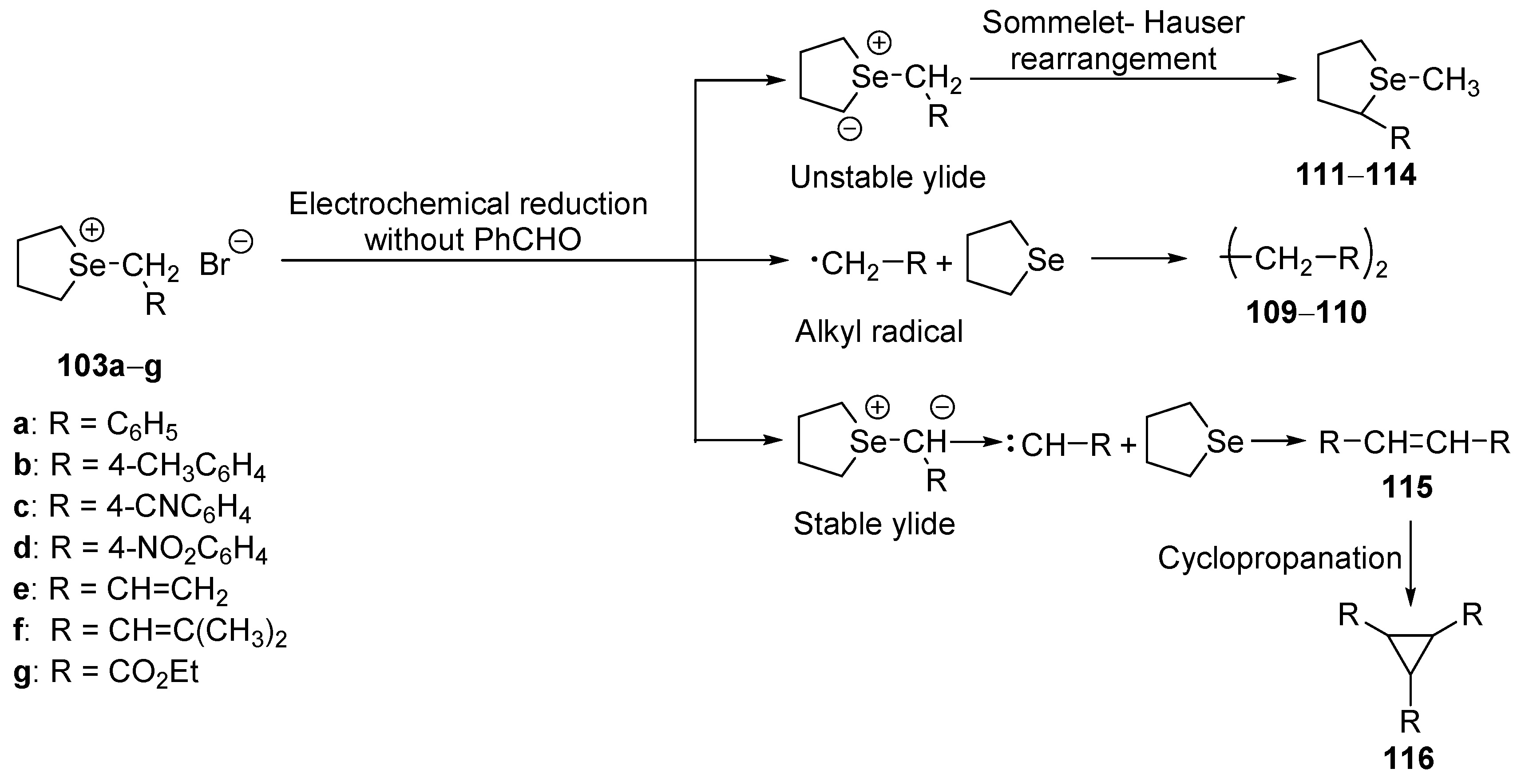 Molecules 25 02420 sch027