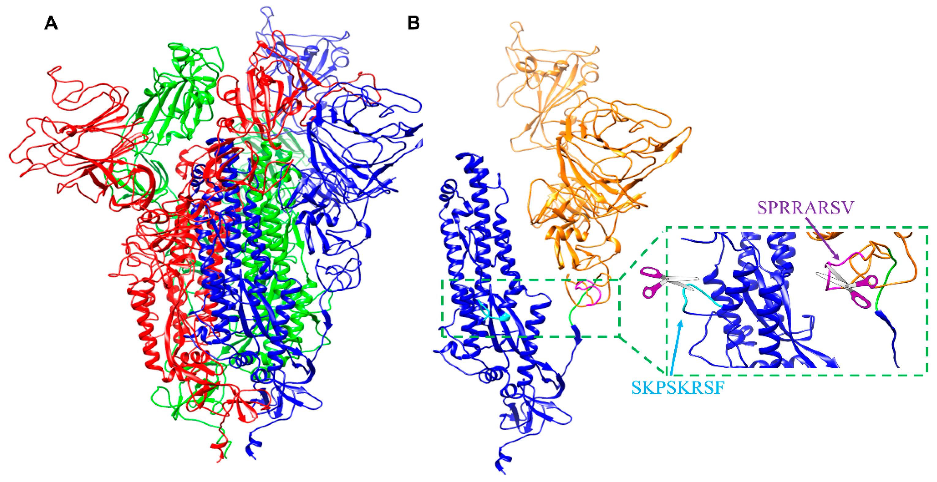 Molecules 25 02424 g001