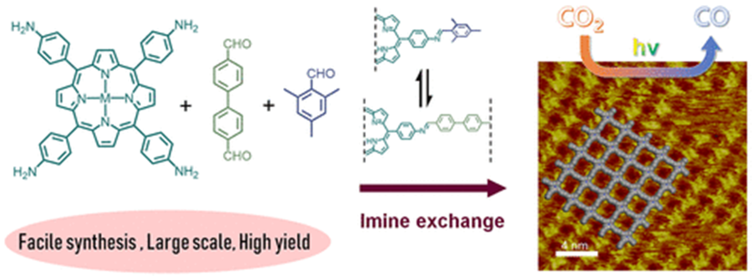 Molecules 25 02425 g002