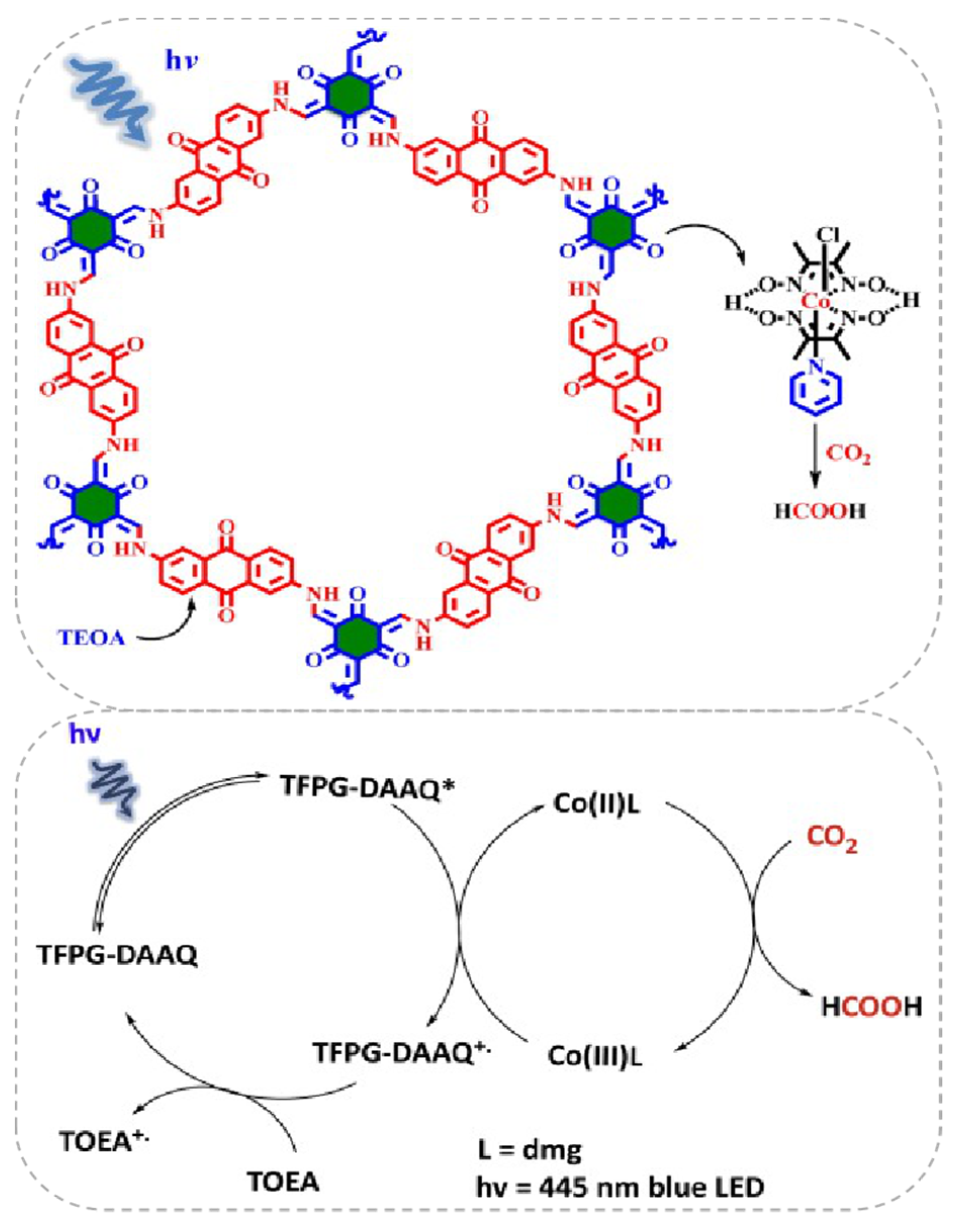 Molecules 25 02425 g007