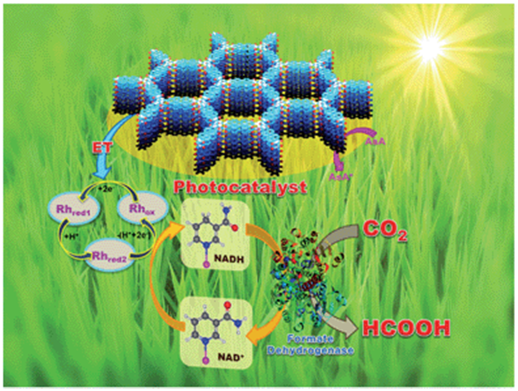 Molecules 25 02425 g012