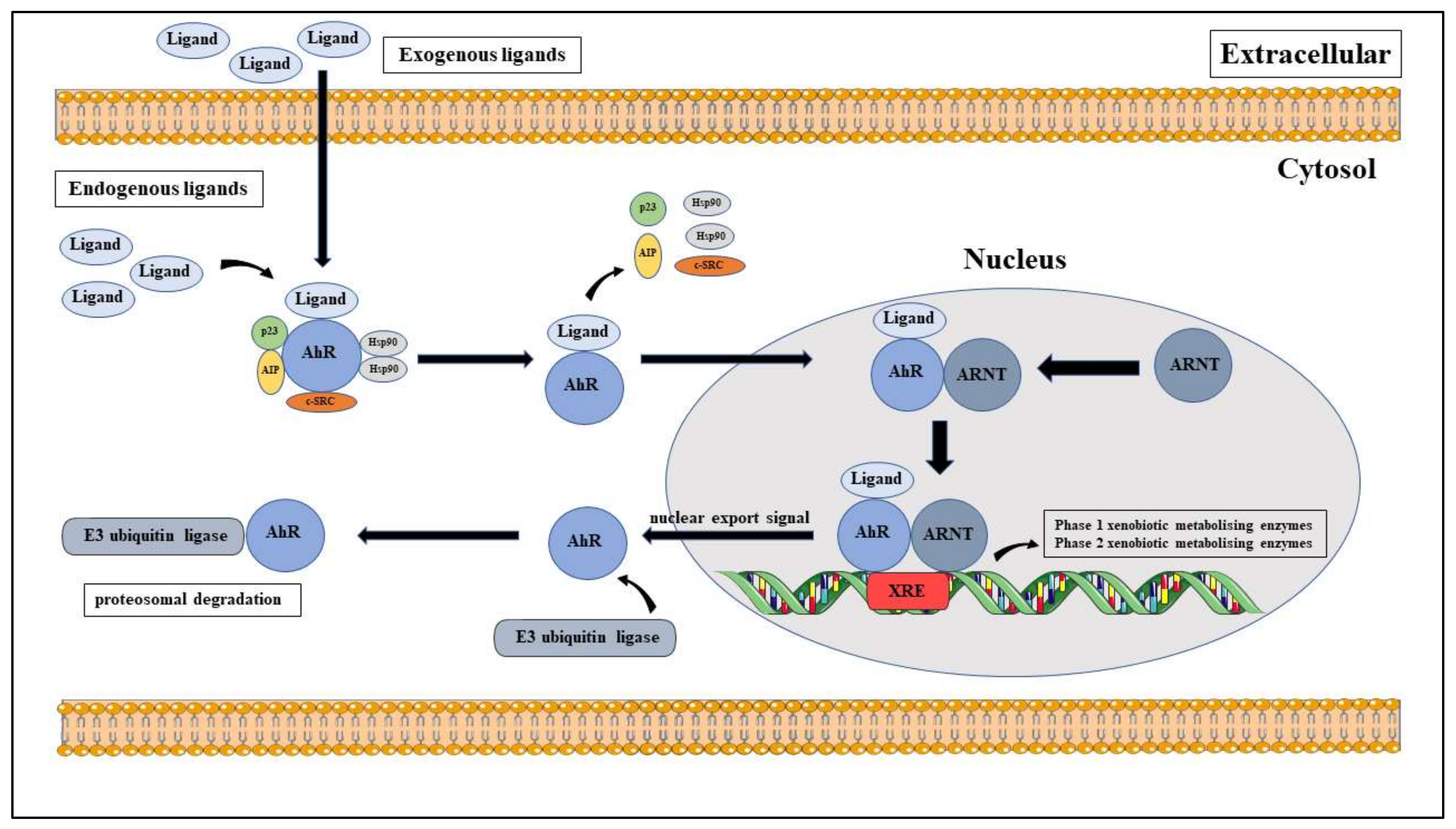 Molecules 25 02427 g003