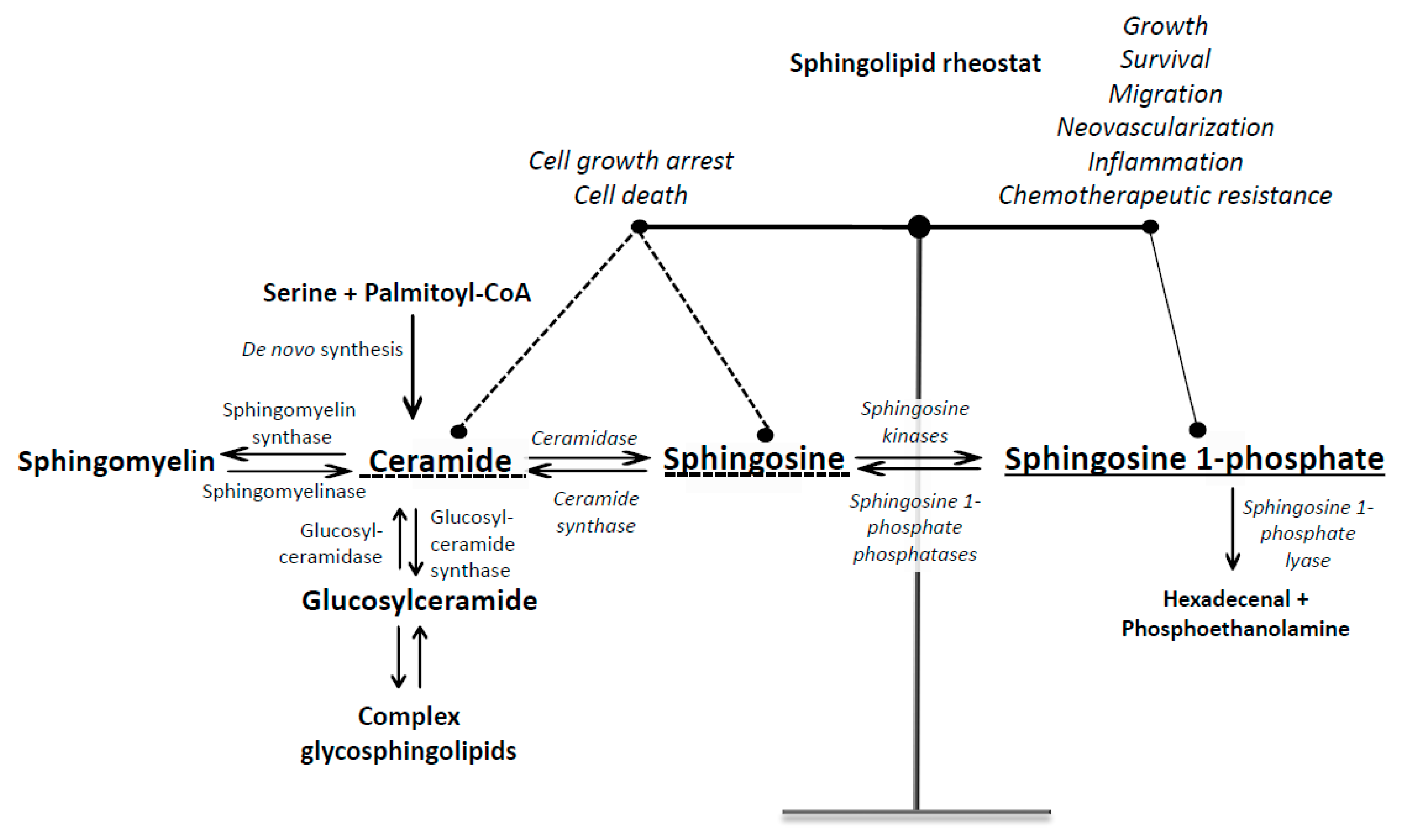 Molecules 25 02436 g001 Molecules 25 02436 g001