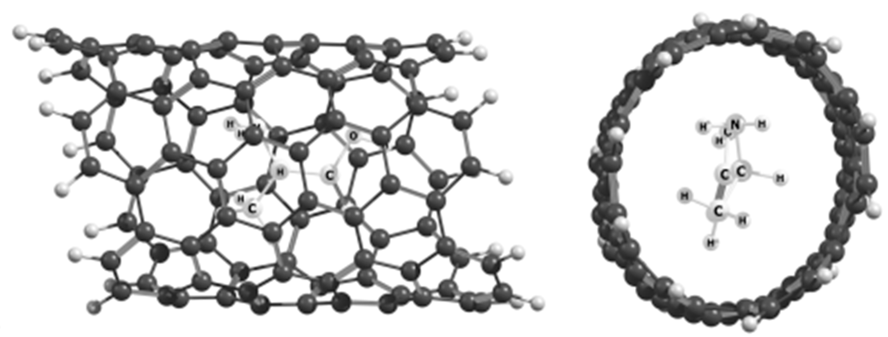 Molecules 25 02437 g019 Molecules 25 02437 g019
