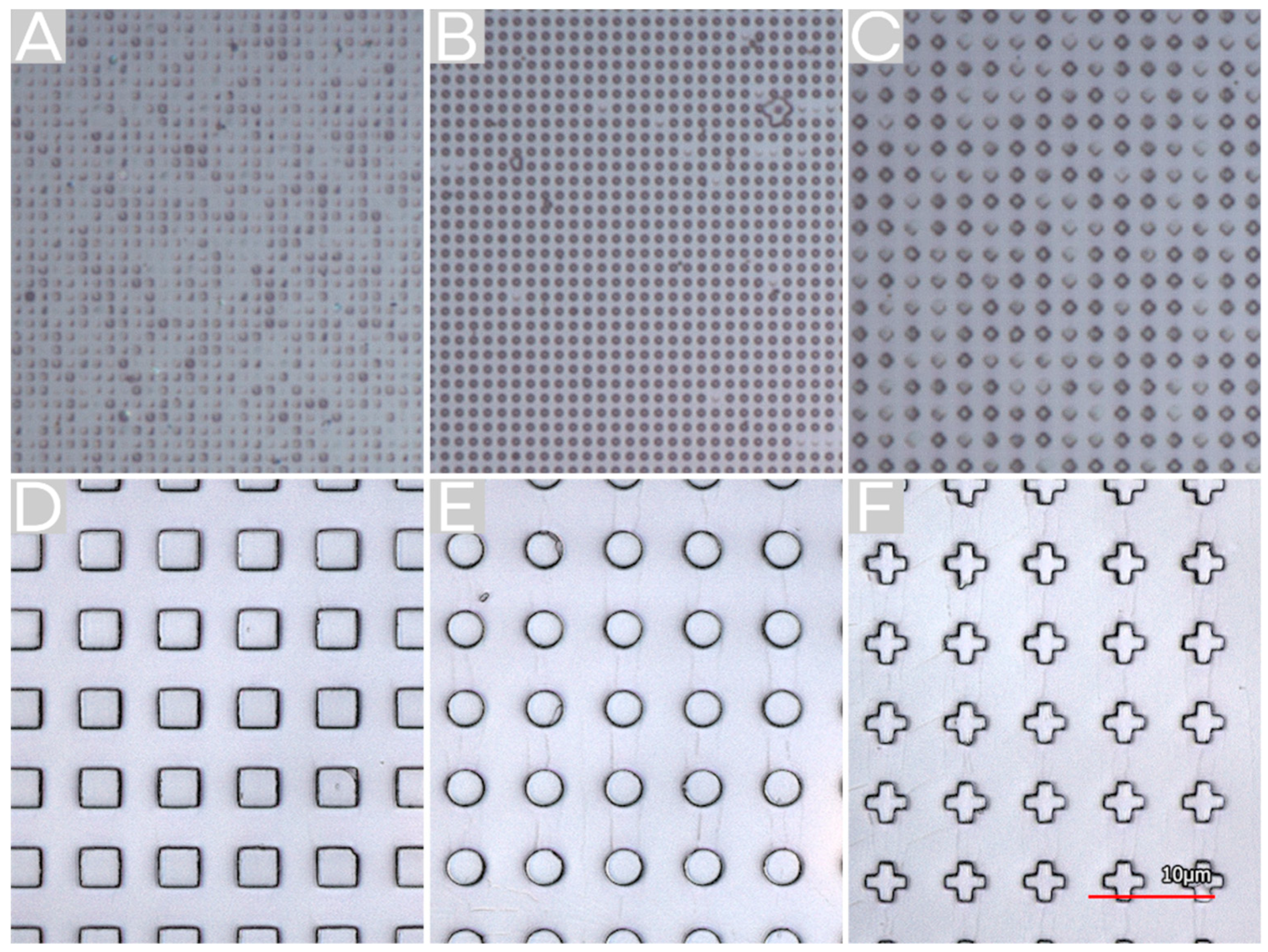 Molecules 25 02438 g002 Molecules 25 02438 g002