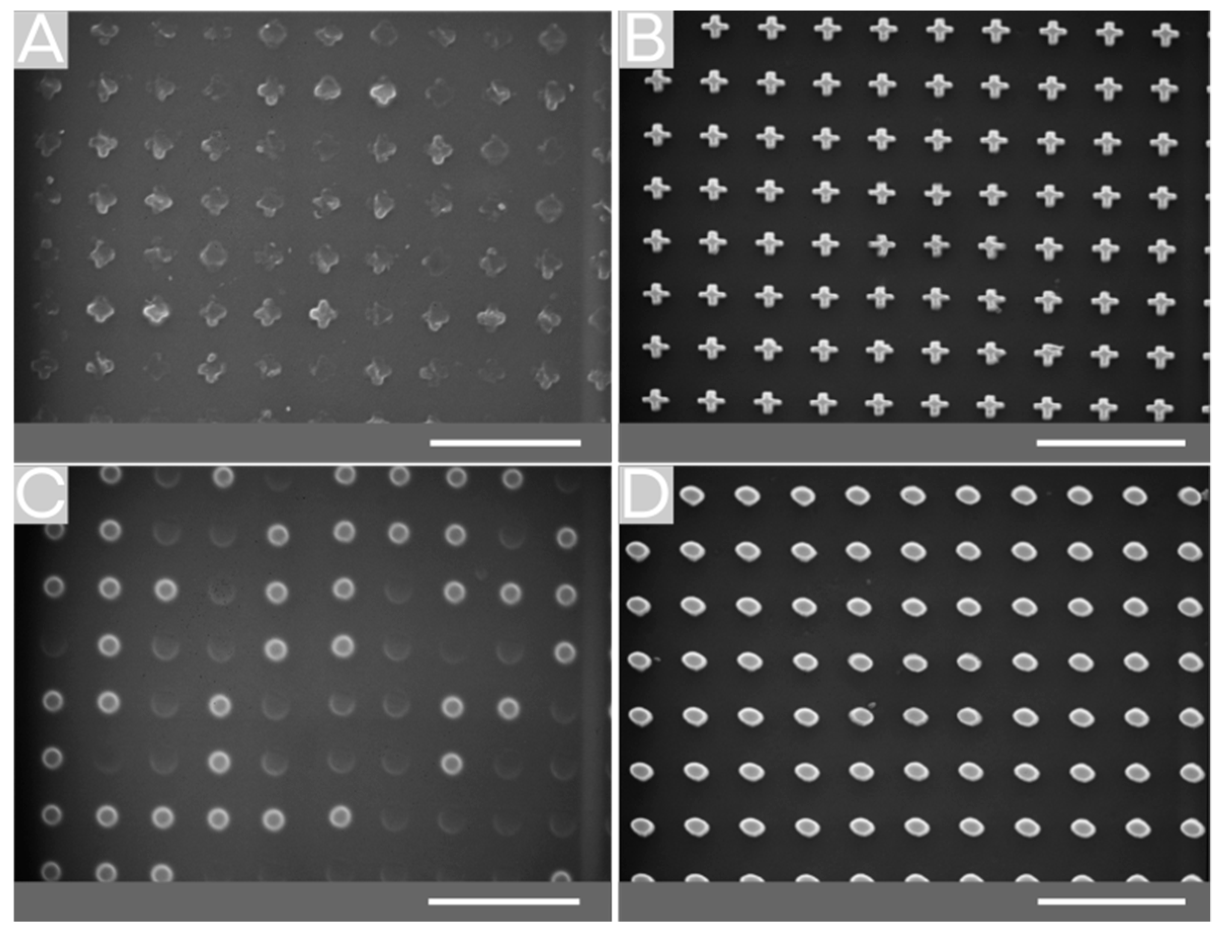 Molecules 25 02438 g004 Molecules 25 02438 g004