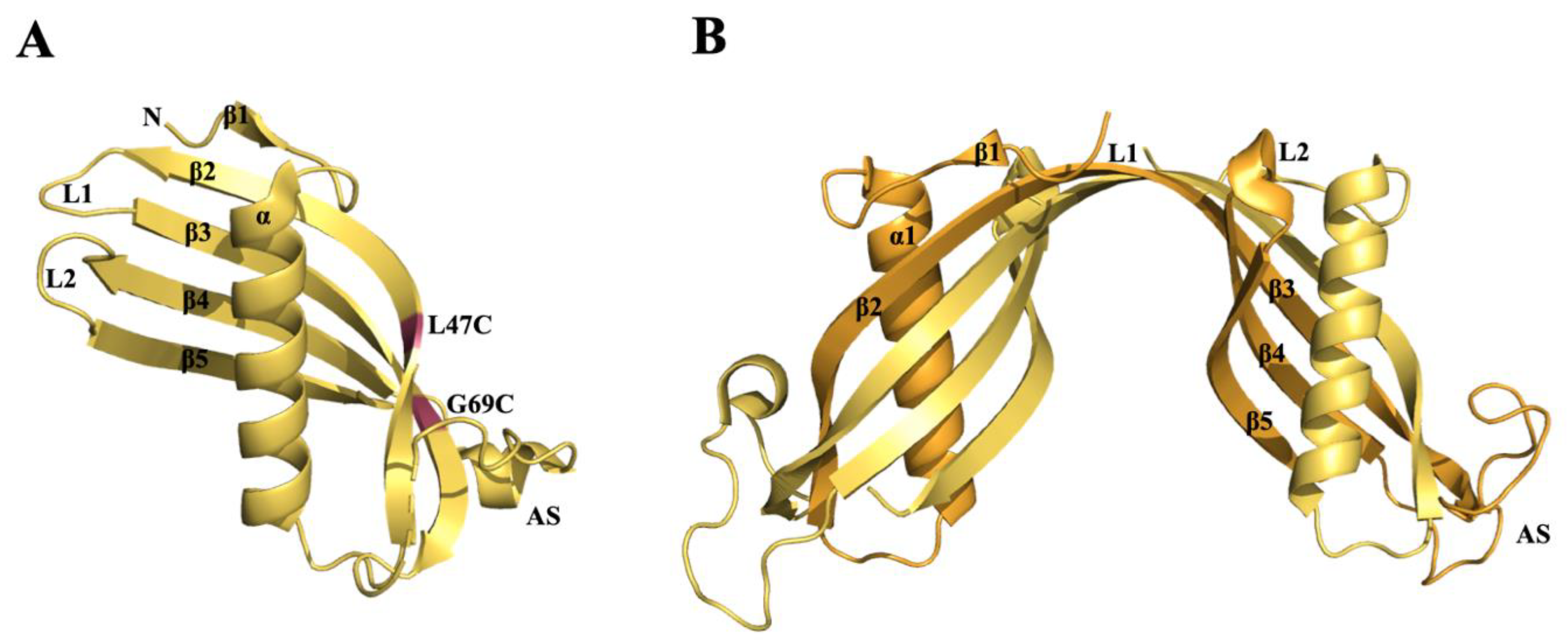Molecules 25 02439 g005