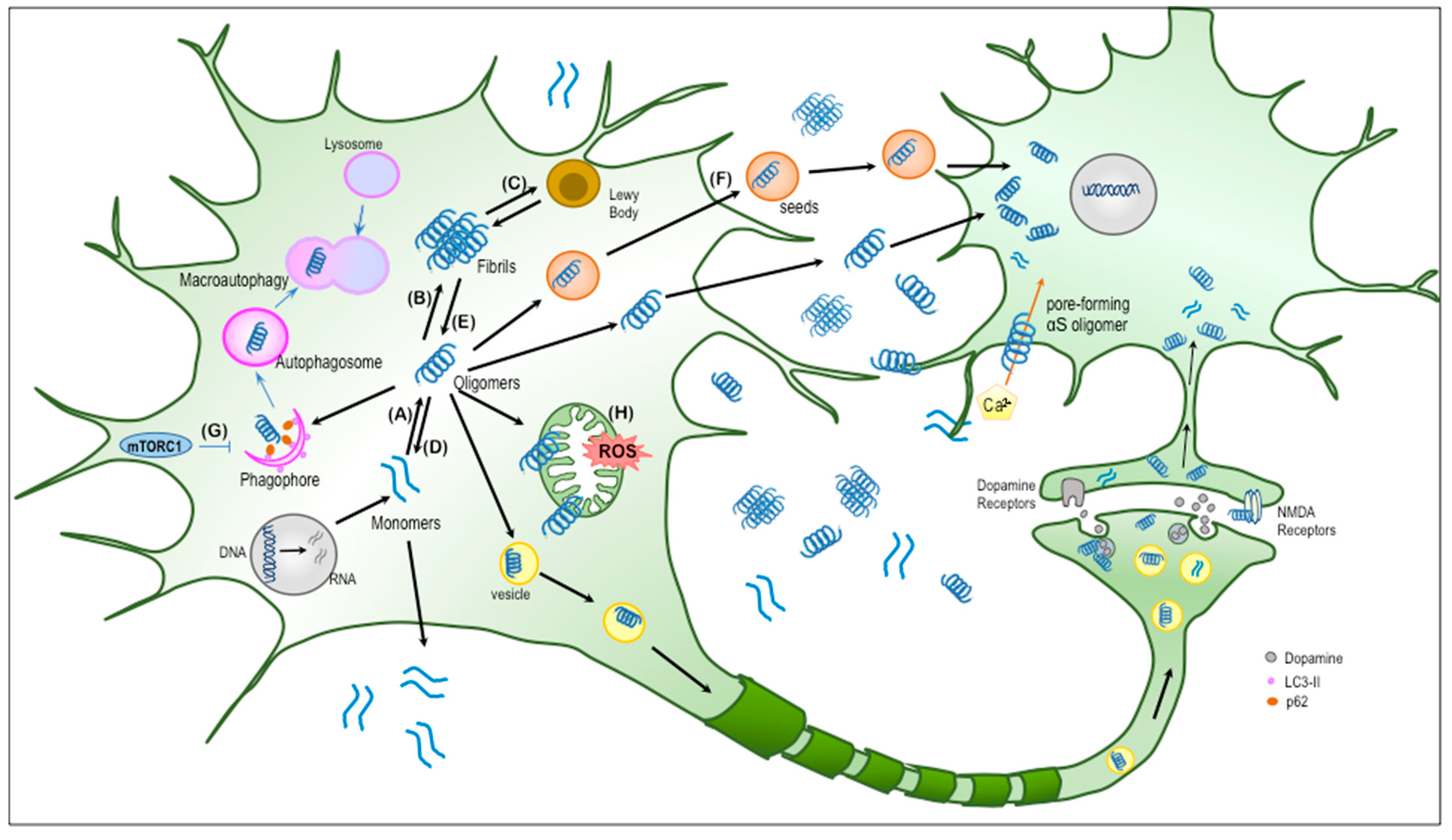 Molecules 25 02444 g001 Molecules 25 02444 g001