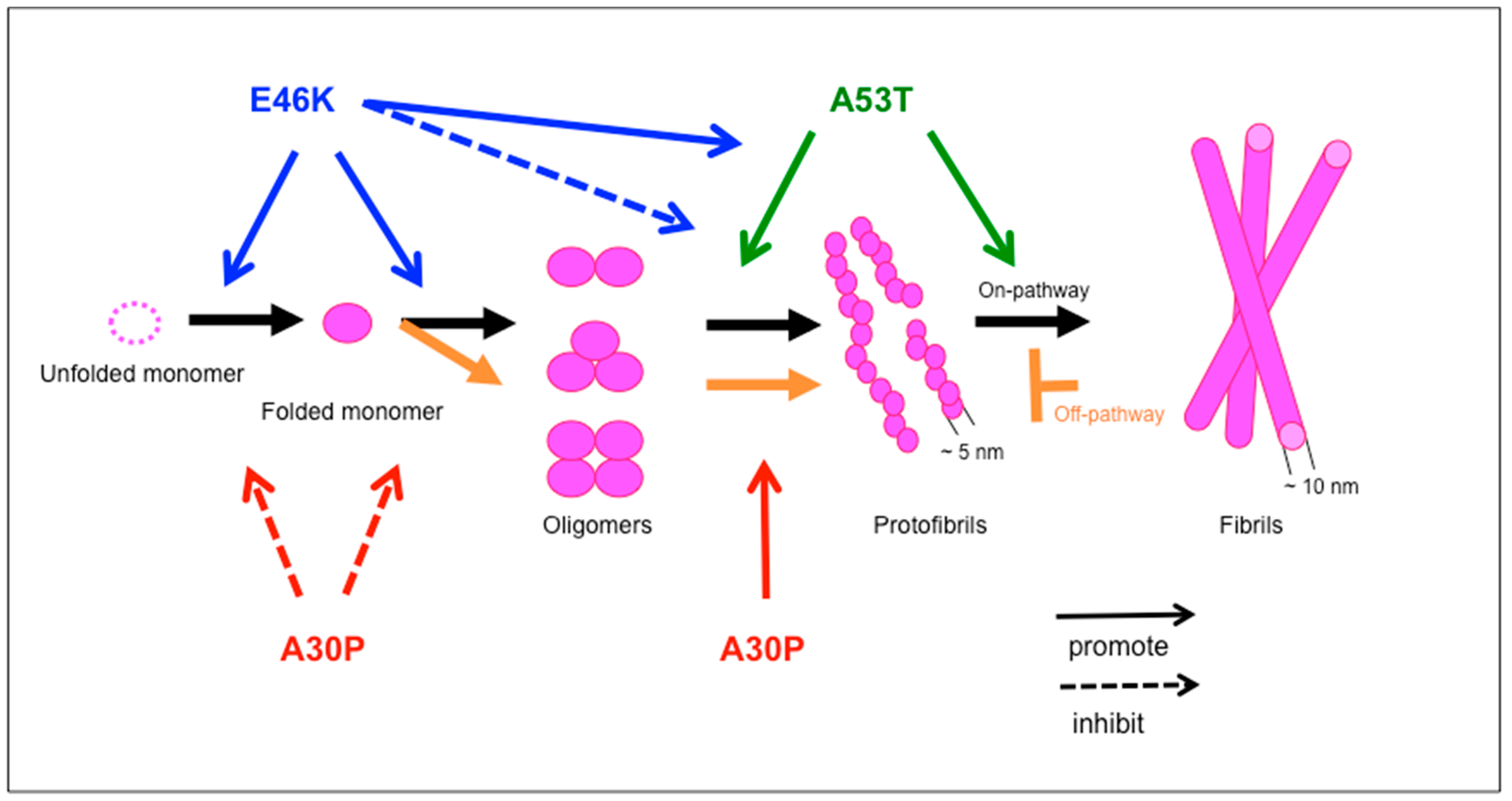 Molecules 25 02444 g002 Molecules 25 02444 g002