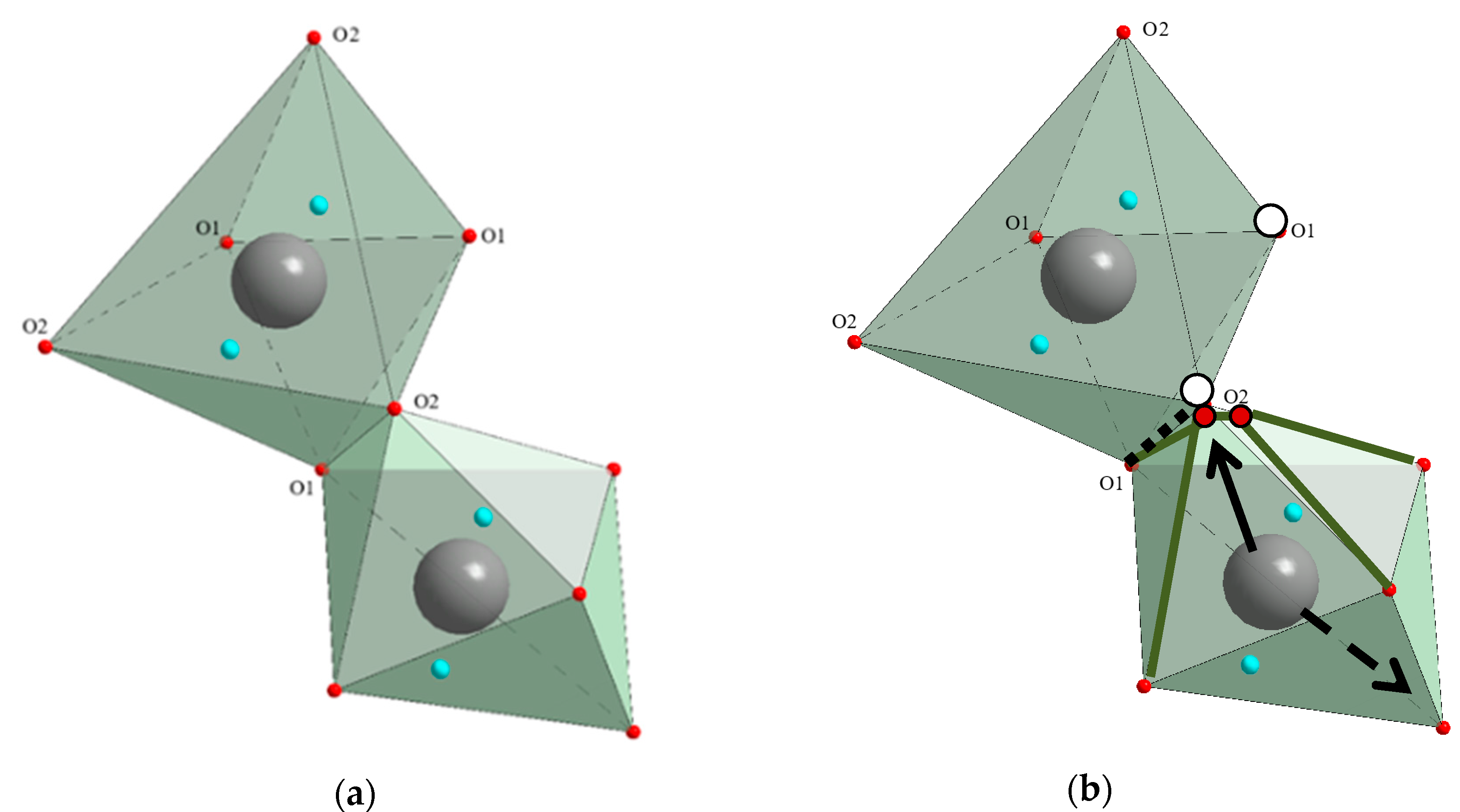 Molecules 25 02451 g010
