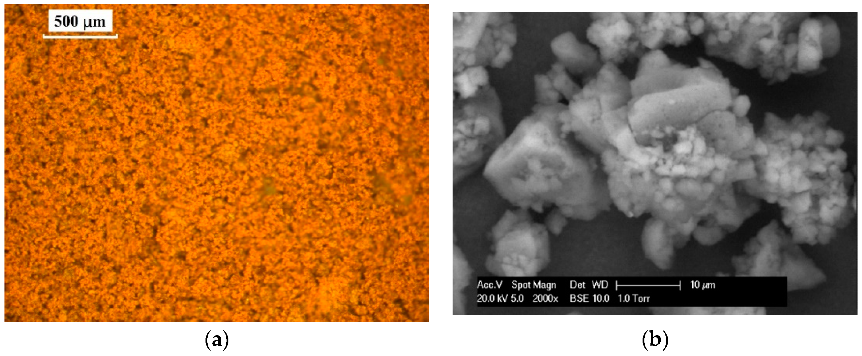 Molecules 25 02455 g001