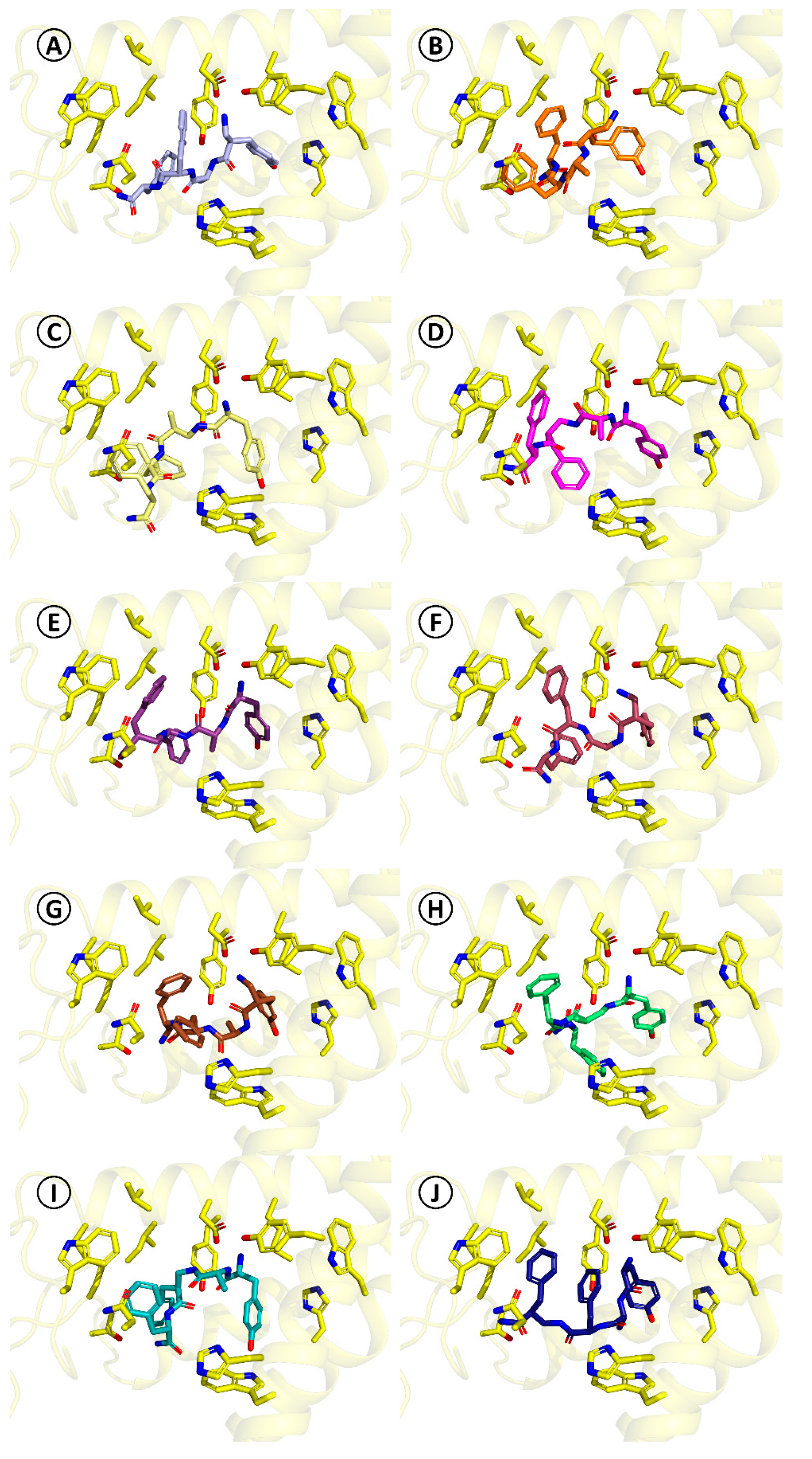 Molecules 25 02461 g004