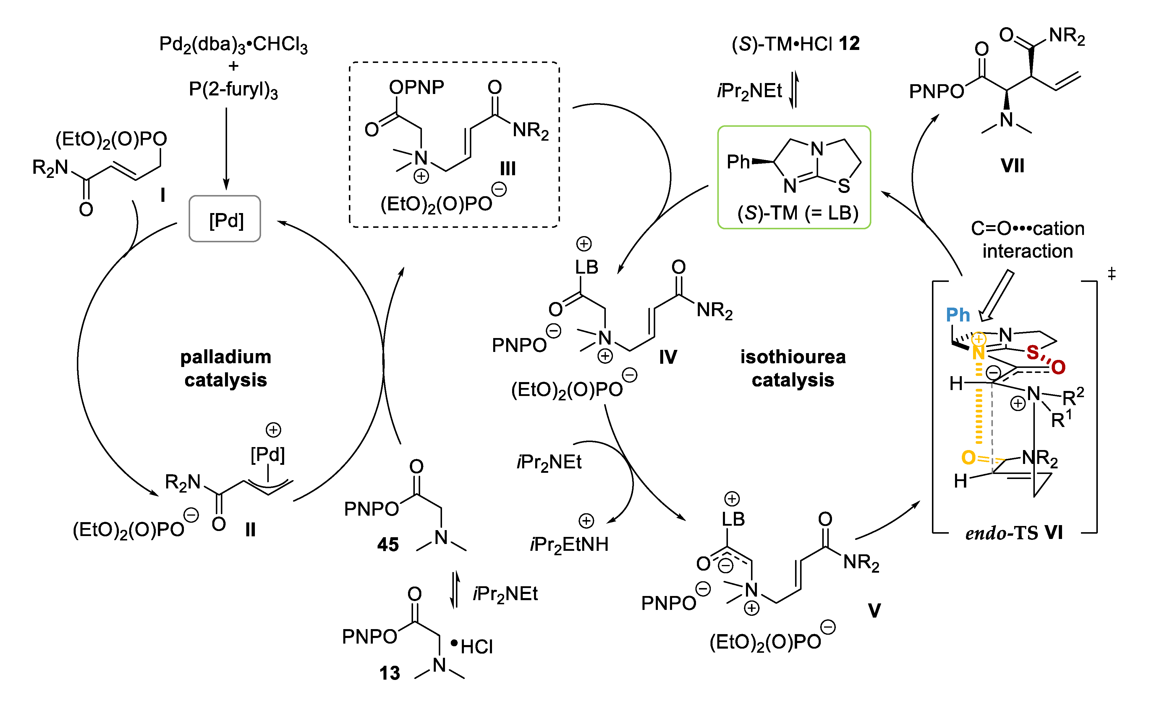 Molecules 25 02463 g008
