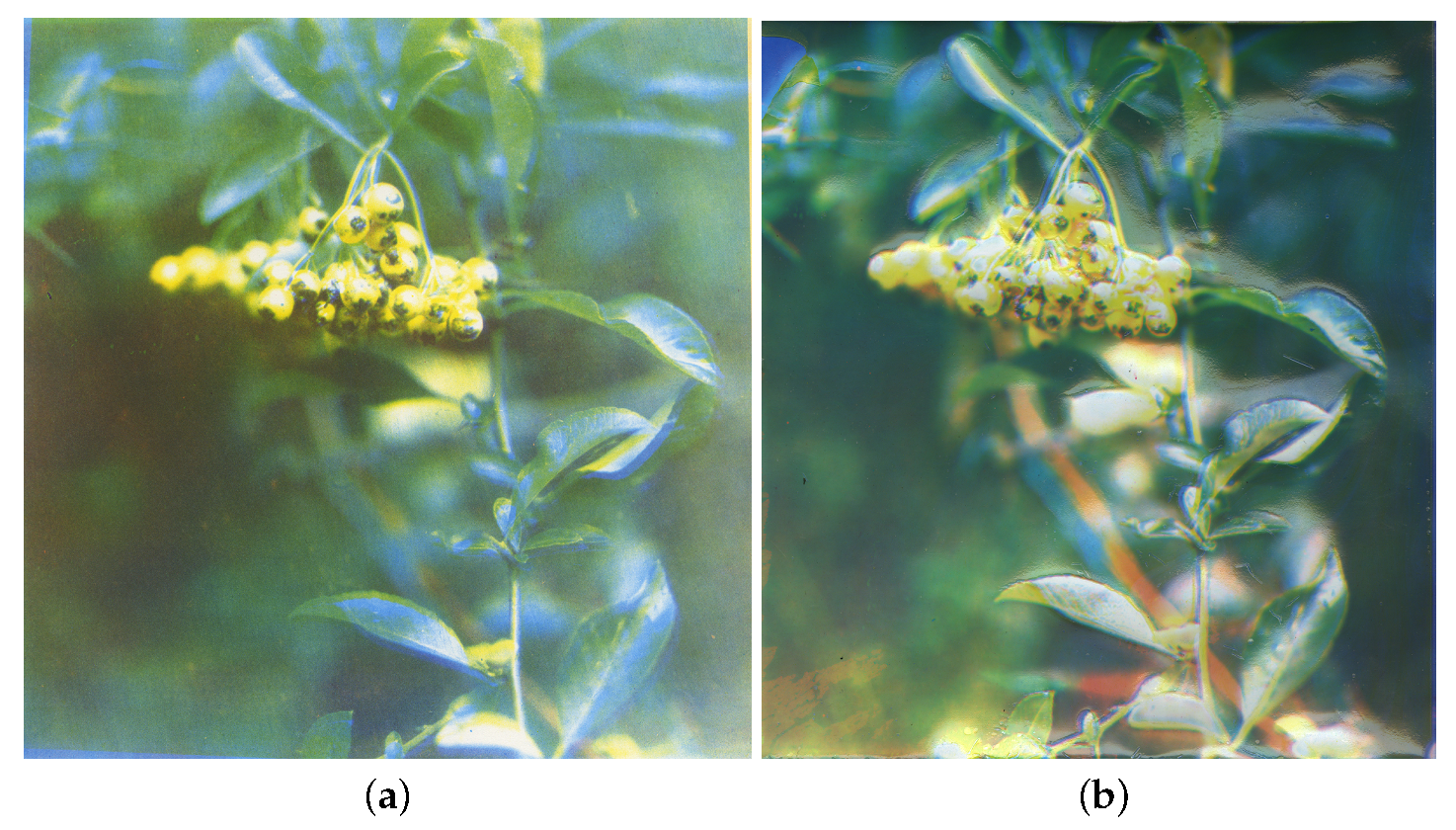 Molecules 25 02468 g004 Molecules 25 02468 g004