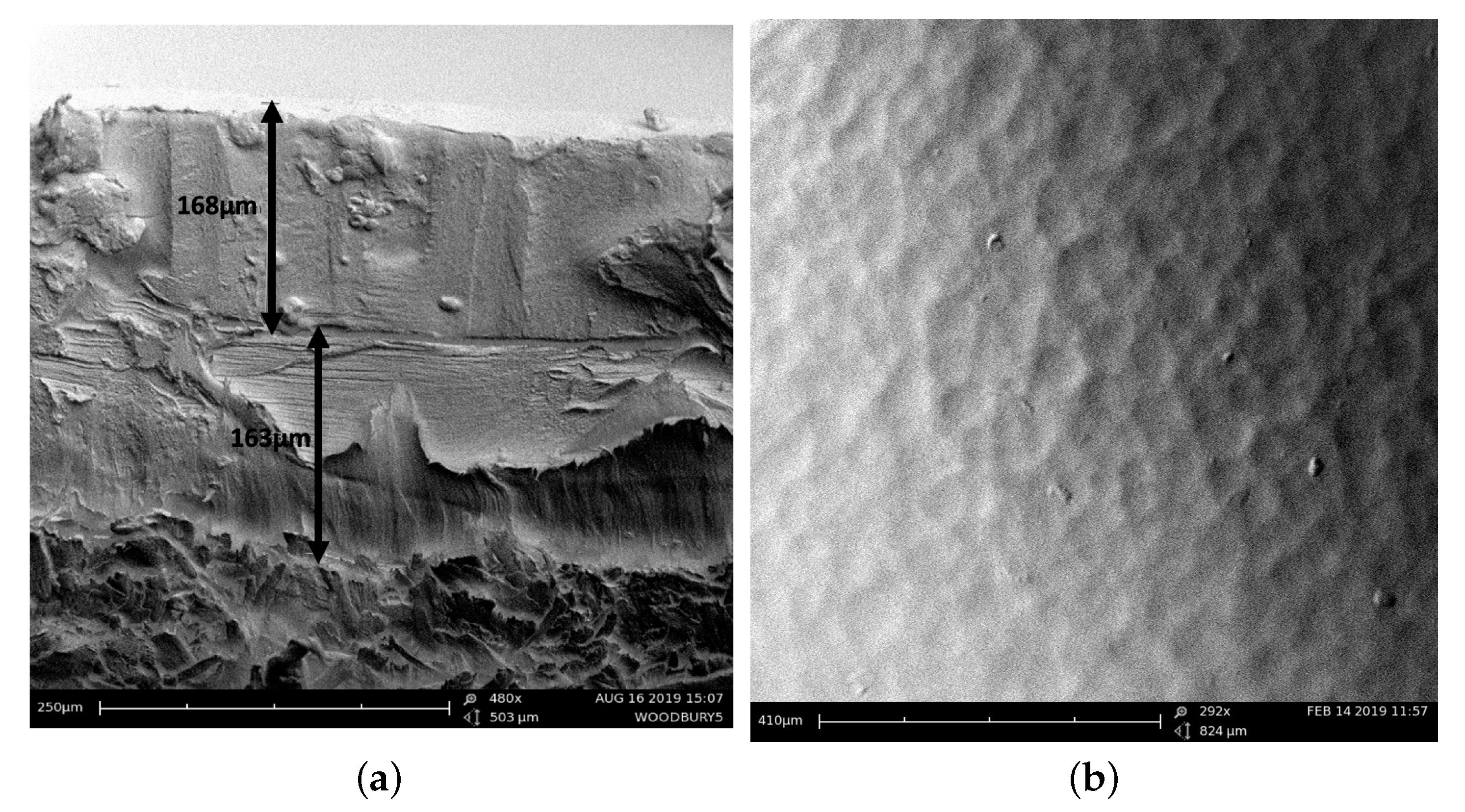 Molecules 25 02468 g005 Molecules 25 02468 g005