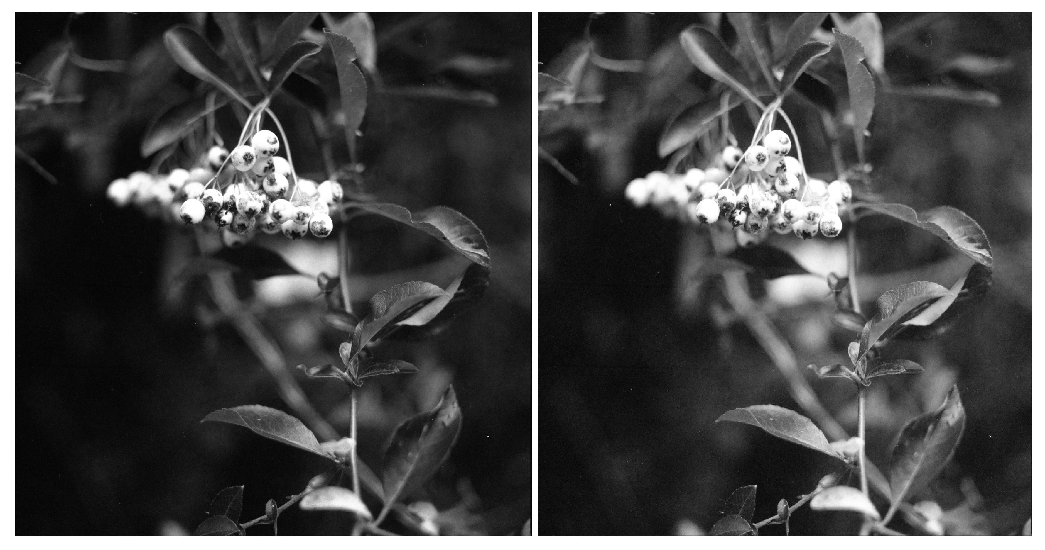 Molecules 25 02468 g0a1 Molecules 25 02468 g0a1